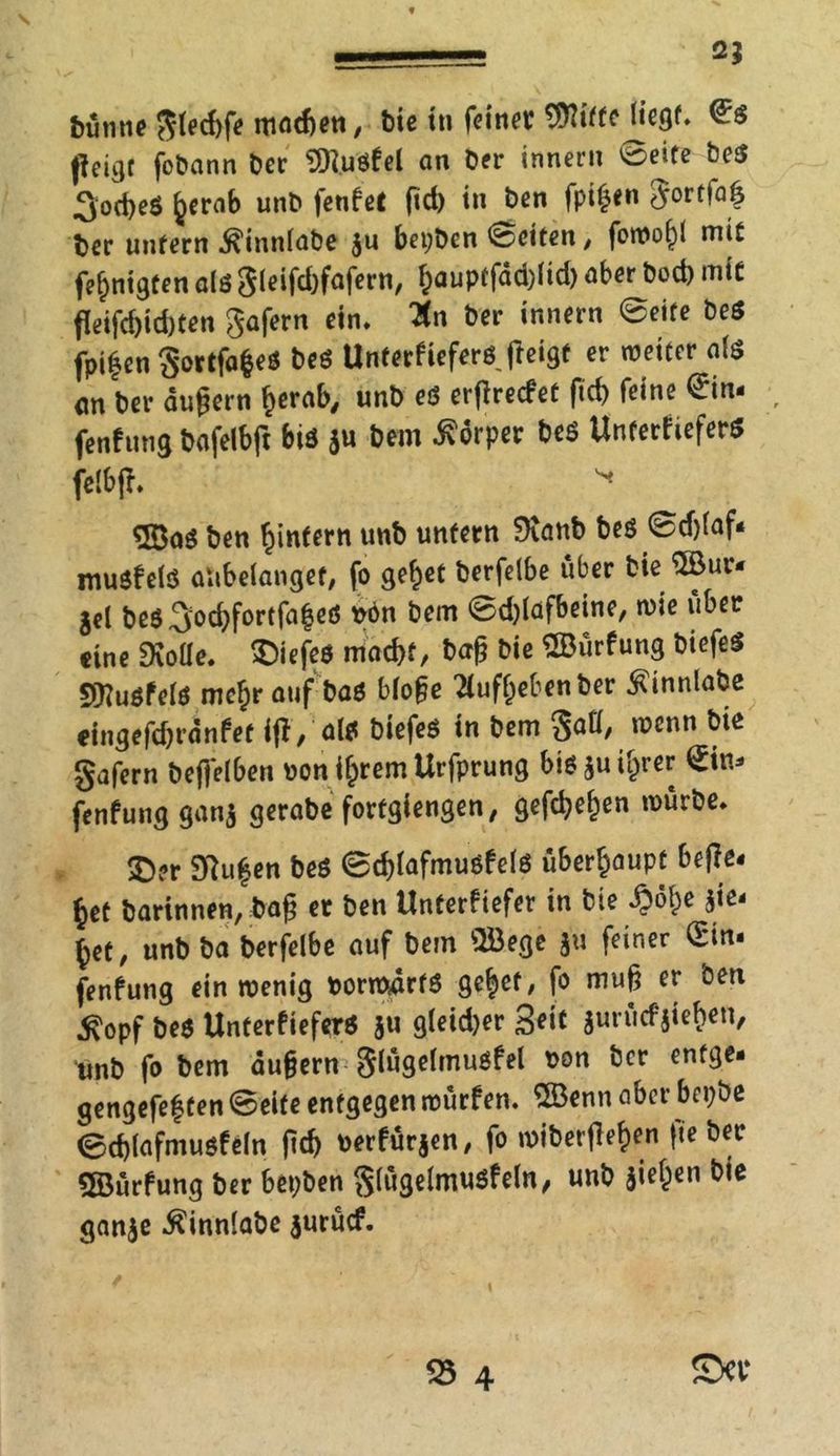 buntie glecbfe mac&en, Die tu feinet $ttiffe Hegf. f]eigt fobann Der ©usfel an Der innern ©eife Des 3od)eö ^erab unD fenfet fid) in Den fpifcen gortfab Der unfern .ftinnlabe $u bepDen Seiten, fowof)l mit fertigten als gieifdrfafern, ^aupffdd)iid) aber Dod) mit fleifd)id)ten gafern ein. 3n Der innern ©eite De* fpt|en gortfa&eS Des UnterfieferS jieigf er weiter als an Der äußern berab, unD es erßrecfet fid) feine €in- r fenfung Dafelbft bis gu Dem Körper Des UnterfieferS felbjf. ^ 5öaS Den ^intern unD unfern 0ianD Des <©d)laf« musfels atibelanget, fo gebet Derfelbe über Die ©ur* jel Des3od)fortfa|eS »ön Dem ©d)lafbeine, wie über eine Dxotle. tiefes mad)f, Daß Die ©ürfung DiefeS Musfels me£rauf Das bloße Aufheben Der ^innlaDe cingefdjtdnfet iß/ale DiefeS in Dem gatl, wenn Die gafern Defielben bon ihrem Urfprung bis gu ihrer £in* fenfung gang gerabe forfgiengen, gefeiten würbe. 5D?r Stufen Des ©d)lafmusfels überhaupt beße. ^et Darinnen, Daß et Den Unterfiefer in Die ^ö^e gie' bet, unD Da Derfelbe auf Dem ©ege gu feiner (Ein. fenfung ein wenig bormarfS gebet, fo muß er Den £opf Des UnterfieferS gu gleidjer 3*i* gurüefgieben, unD fo Dem äußern glügelmusfel bon Der enfge. gengefef ten ©eite entgegen würfen, ©enn aber bepbe ©cblafmusfeln fid) berfürgen, fo wiDerfleJen fte Der ©ürfung Der bepben glügelmusfeln, unD Rieben Die gange ^innlaDe gurücf.