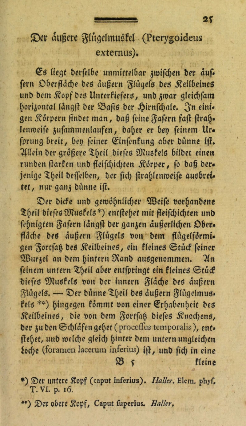 -■■l'-li-L 2T Sa äußere glugelmuefel (Pterygoideus externus), d£$ Hegt t>erfel6e unmittelbar $roifdjen ber auf« fern öberßdd;e beö äußern giügefö beö .fteHbeineö unb bem .ß'opf beö Unterfieferö, unb jipar gfeiebfam forijontal langfi ber 83afiö ber Jpirnfdjaie. 3n eini- gen Körpern ßnbet man, bap feine Sofern fafl lenroeife jufammenlaufen, baffer er bep feinem Ur- fprung breit, bei; feiner ©nfenfung aber bünne iji* 2ÜIein ber größere “Sfjeil biefeö SDtußfefö bifbet einen runben Harfen unb fleifd;id;ten Körper, fo baß ber* jenige Sfjeil beffelben, ber ßd; jlra^enmeife auöbrei* tet, nur ganj bünne ifl. Ser biefe unb getpof>nHd;er 5öeife Porljanbene $f>eil biefeö SDfuöfeiö*) entjfefjet mit fleifd;id)fen unb fefjnigten gafern längß ber ganzen äußerlichen Ober* Pnd)e beö äußern Sdügelö Pon bem ßügeifärmi« gen Sortfaf ^eÜbeineö, ein fleineö 0tü<f feiner $Bur$el an bem ^intern Dcanb ausgenommen. 2fn feinem unfern ^fpeü aber entfpringt ein fieineö <8tücf biefeö 9)?uöfe($ pon ber innern Sfädje äußern $tügef$. — Ser bünne ^jjeif beö äußern gfügelmuö« fe(ö **) hingegen fdmmt Pon einer ©§nbenf)eit beö Keilbeines, bie Pon bem Sortfn^ biefeö Knodjenö, ber $uben(3d)idfengef;ef (proccflus temporalis), ent« flef)et, unb n>eld)e gfeid; (jinter bem unfern ung(eid;en iod)e (foramen lacerum inferius) ijf, unb fid; in eine 83 f fleine *) Ser untere £opf (caput inferius). Haller. Elem. phyf. T. VI. p. 16. **) Set obere $opf, Caput fuperius. Haller.
