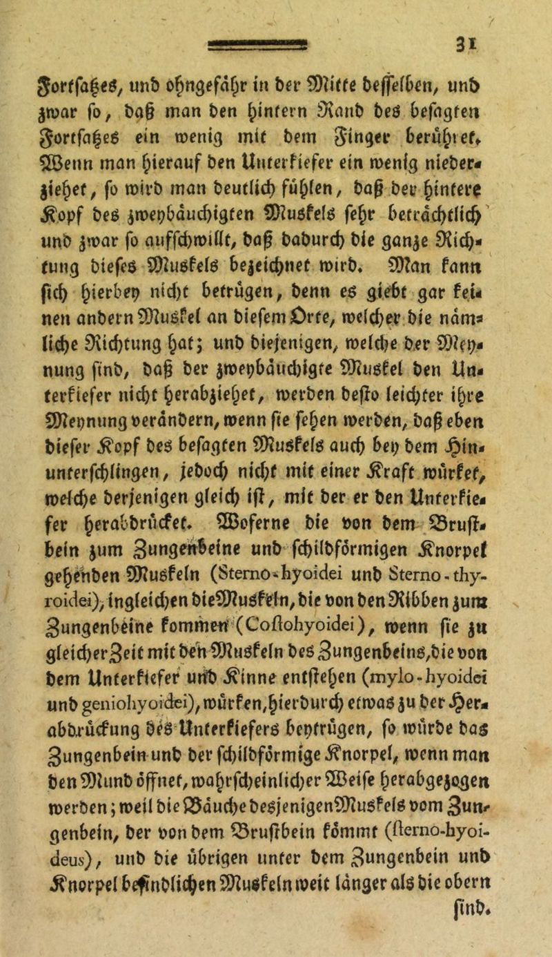 Sortfafeß, unb ofjngefdfjr in ber SDiiffe beffelben, unb jwar fo, ba§ man ben l;infern Svattb beß befagfen gortfafeß ein wenig mit bem Singer herüber, 2Benn man hierauf Öen Untertiefer ein wenig nieber* gieret, fo wirb man beutlicb füllen, baß bei- Hintere Äopf beß jwepbäuchigten SDiußfelß fe£r beträchtlich unb jwar fo auffd)wtllt, baß baburd) bie ganje £Hid>- fung biefeß 9)2ußfelß bejeichnet wirb, CÜ?an fantt fich hie^b nidjt betrügen, benn es giebl gar feu nen anbernüftußfel an biefemCrte, welcher bie ndm* liehe Dichtung hat; unb biejentgen, weld?e ber SOiep« nung finb, baß ber jwepbdud)igfe SJiußfel ben Un« terfiefer nicht herabjieljef, werben beßo leid;üer ifyce Sftepnung »eränbern, wenn fte feljen werben, baß eben biefer $opf beß befagten Sföußfelß auch bep bem Jpin- unferfchüngen, jeboch nid;f mit einer ^raft würfet, welche berjenigen gleich iß, mit ber er ben Unterfie- fer ^crabbriidPcf* SBeferne bie bon bem Sruff- bein $um unb fchilbförmigen ^norpef ge^ehben Sttußfeln (Sterno-hyoidei unbSterno-thy- roidei), ingieidjen bieCDüuöfein, bie bon ben Hibben ium Sungenbeine fommett (Cofiohyoidei), wenn fte $tt gietcherSeit mit behCDfrtßfeln beß 3ungenbeinß,bie bott bem Unterfiefer unb ^inne entfielen (mylo-hyoidci unb geniohyoidei), würfen, hierburd) etwaß $u ber J£er* abbrüefung beß Unterfieferß betrügen, fo würbe bas Zungenbein unb ber fd)ilbformige Knorpel, wenn man ben 2)iitnb öffnet, waljrfdjeinlidKr $Beife herabgejogen werben; weil bie Q5dud)e beßjenigen9)Zußfelß bom 3un** genbein, ber bonbem 53rufrbein fommt (fterno-hyoi- deus), unb bie übrigen unter bem Zungenbein unb Knorpel beftnblichen SDZuöfeln weit langer alß bie obern finb.