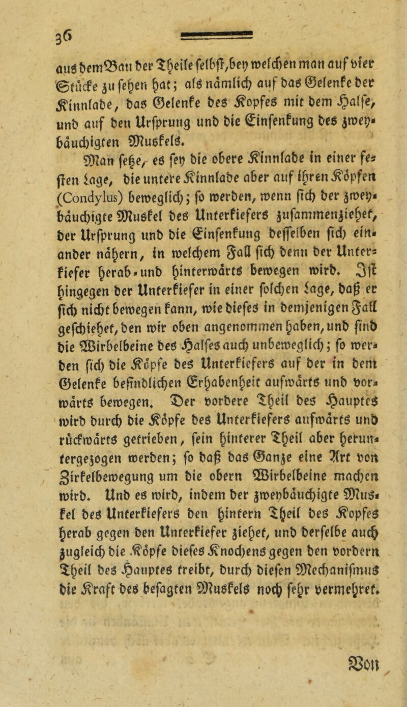mi6 bem$5au ber feibfobep weichen man auf Pier ©(liefe ju feiert hat; ais ndmlicb auf bas ©efenfe Der .filnniabe, bas ©elenfe bes Kopfes mit bem £a(fe, unb auf ben Urfprung unb bie (Jinfenfung be$ $wep- bdud)igfen Sföuöfeis. SKan fe|e, es fep bie obere $inniabe in einer fe* jlen läge, bie untere ivinniabe aber auf ifjren ^opfert (Condyius) beweg(id); fo werben, wenn ftd> ber jwei;. bdudugte Sttusfel bes UnterfieferS $ufammenjiehef, ber Urfprung unb bie ^infenfung bejfeSben jid) ein. anber nähern, in welkem gafl ftcf> benn ber Unter* fiefer ^erab.unb hinterwärts bewegen wirb, 3|t hingegen ber Unferfiefer in einer fo(d)en Jage, baß ec ficf) nicht bewegen fann, wiebiefes in bemjenigengafl gefd)iehet,ben wir oben angenommen haben, unb finb bie SJßirbelbeine bes jpaffesaueb unbeweglid;; fo wer. ben fid) bie ^dpfe beS UnterfieferS auf ber in bem ©elenfe beftnbücben (Erhabenheit aufwärts unb toor. wdrts bewegen, $)er toorbere ^he‘l Jpauptcö wirb bureb bie Ääpfe beS UnterfieferS aufwärts unb ruefwarts getrieben, fein hintern* ^h^i ober herun. fergejogen werben; fo baß bas ©anje eine 7ivt toen Sirfeibewegung um bie obern ÜBirbeibeine mad)cn wirb. Unb es wirb, inbem ber jwepbduchigte 9)ius* fei bes UnterfieferS ben hinfern $h^ ^ö Kopfes herab gegen ben Unferfiefer 3ief)ef, unb berfelbe auch jugleidbbie .^opfe biefes ^nod)enS gegen ben toorbern ^heii bes Jpaupteö treibt, burd) biefen 9ftecf)anifmu$ bie ifraft beö befagten SHuöfelö noch fe^r permehref» SJon