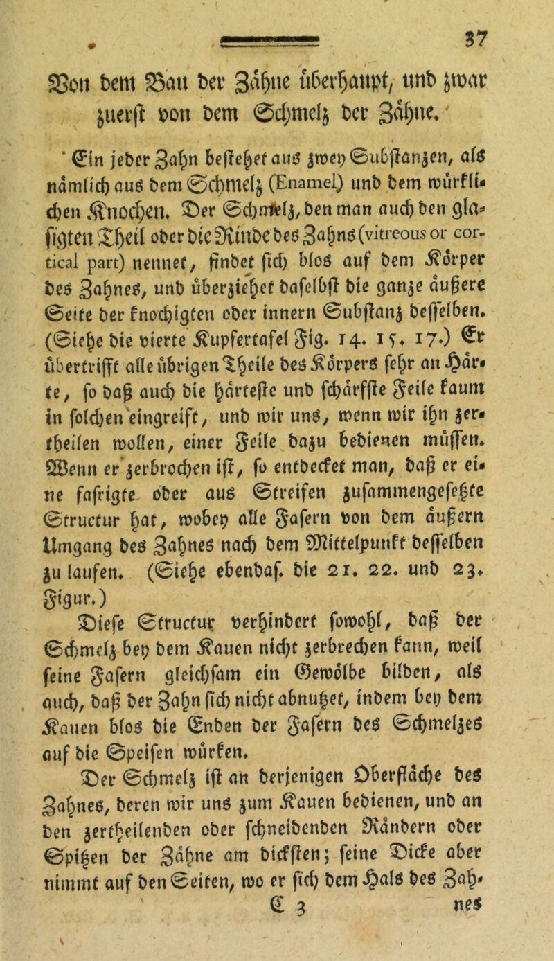 55on bem 23ait ber Ba&ite uberfjattpf, tmb jwar jucrjt bou bem 0d;mclj t>cr 3äl)ne.' ' €in jeberS^« befielet aus jmep ©ubjianjen, ate ndmlicfjauö bem@chmdj (EnameJ) unb bem murfli- djen .^nod^cn. £)er ©djnttl^ben man aud)ben gla* fluten £f)eif Ob«bic3tmbcbeö3«&nö(vitreousor cor- tical part) nennet, ßnbet ft cf) bfoö auf bem Körper be$ 3afweS, unb überjieljef bafelbff bic gan,je äußere ©eite ber fnod)igfen ober innern ©ubffanj beffelben* (©ief)e bie bierte $upferfafel g*9* 14* *?♦ J70 ubertrifft alle übrigen ^fjeile bei? Körpers feljr unzar- te, fo baß auch bie f^drteße unb fdjdrffie 5etfc faum in foldjen eingreift, unb mir uns, menn mir if)n $er« tbeilen moffen, einer geile ba$u bebienen muffen* ÖBemt er jerbreefjen iff, fo entbeefet man, baß er ei- ne fafrtgte ober aus ©treifen aufammengefetjte ©tructur §at, mobep alle Sofern bon bem äußern Umgang be$ 3af)neS nad) bem $?itte(punft beffelben $u laufen, (©ie£e ebenbaf. bie 21* 22. unb 23* gigur.) SDiefe ©tructur berfjinbcrt foroofid, baß ber ©cbmelj bep bem ^auen nid)t $erbred)en fann, meif feine gafern gleid)fam ein ©emolbe bilben, als and), baß ber gaf)nßd)nid)f abnufjet, tnbem bep bem hatten Mos bie (Enben ber gafern be$ ©cbmeljeS auf bie ©pcifen murfen, £>er ©cfjmelj iff an berjenigen Dberfladje be$ Bafpneö, beren mir uns $um ^auen bebienen, unb an ben 3ertf;ei(enben ober feßneibenben Dvdnbern ober ©pi|en ber 3a&ne «m öicfflen j feine £)i<fe aber nimmt auf ben ©eiten, mo er ftd) bem^als beö (E 3 ne$
