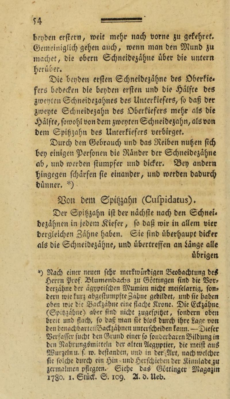 Beiden erjTern, weit me£r nad; Borne $u gefe^ret, ©emeiniglid; ge^en aucfj, wenn man Ben 9)?unB ju machet, Bie obern @cf;neiBeiä&ne über Bie untern herüber« £>iß BepBen erflen 0d;neibejdf)ne Bes Öberfie* fcrö be&ecfen Bie bcpBen erjlen unB Bie i}dlfce Bes 3mepten ©tf)neiDe$at)ne$ Beö Untcrfiefers, fo Bag Ber gmepte ©dtneibejapn Bes OberfieferS mefjr als Bie ^alfte, foroopl Bon Bern jmcpfen ©cfyneibejaljn, als Bon Bern @pif3$afm Beö Unterfiefers Berbirgef, $Durd; Ben ©ebraud; unB Bas SKeiben nufen ftdj Bet; einigen ^erfonen Bie 9{anBer Ber @d)nei&e$äf;ne ob, unB werben fiumpfer unB Bicfer. 23ep anBern hingegen fd;drfen fie einanber, unB werben BaBurdj bünner. *) - SSott Bern @pi$jafjn (Cufpidatus)* SDet* 0ptf$abn ift Ber nddjfle nad; Ben 0d;net* Bejdfmen in jebern tiefer, fo Bag wir in allem Bier begleichen Sd&ne pabem 0ie finb überhaupt Bicfer als Bie 0chnetBe$dpne/ unB übertreffen an idnge ade übrigen *) Stach eitler neuen fepr merfwürBigen Beobachtung Bc$ jfjerrit ^J3rof. Älumenbacbs ju ©ottingen ftnb Bie Bor* Berjdpne Ber dgpptifcben Nuntien nicht meifelartig, fon* Berti wicfurj abgcjhmipfteBdptie gebilBet, imBfte Baben eben wie Bie 35acfj|dbne eine flache Stronc. 2)ie ©cfjdpne (©pi£$dl;ne) aber ftnb nicht äugefpitjet, fotiBern oben Breit unB flach, fo baß man fie bloö Burcb ipre Sage oon Ben bcnachbarietUSacf Jüpnen untcifcheibcn fattn. —tiefer Berfaffer fucht Ben©runB einer fo fonbcrbartnBilButtgin Bett Mnungtfmdtelrt Ber alten 9legpptier, Bie meifr nttö üßurjelnu. f. w. beganBen, unB in Ber>2lrf, nacBwcIcBcr fic folcpc BurcB ein $in-unB|jerfchicbenBer ÄinnlaBeju jevmahnen pflegten. 6icl;c BaS ©ottinger Sttagajin 1780. i. 6tücf. ©. 109. 2t. ö. Ueb.