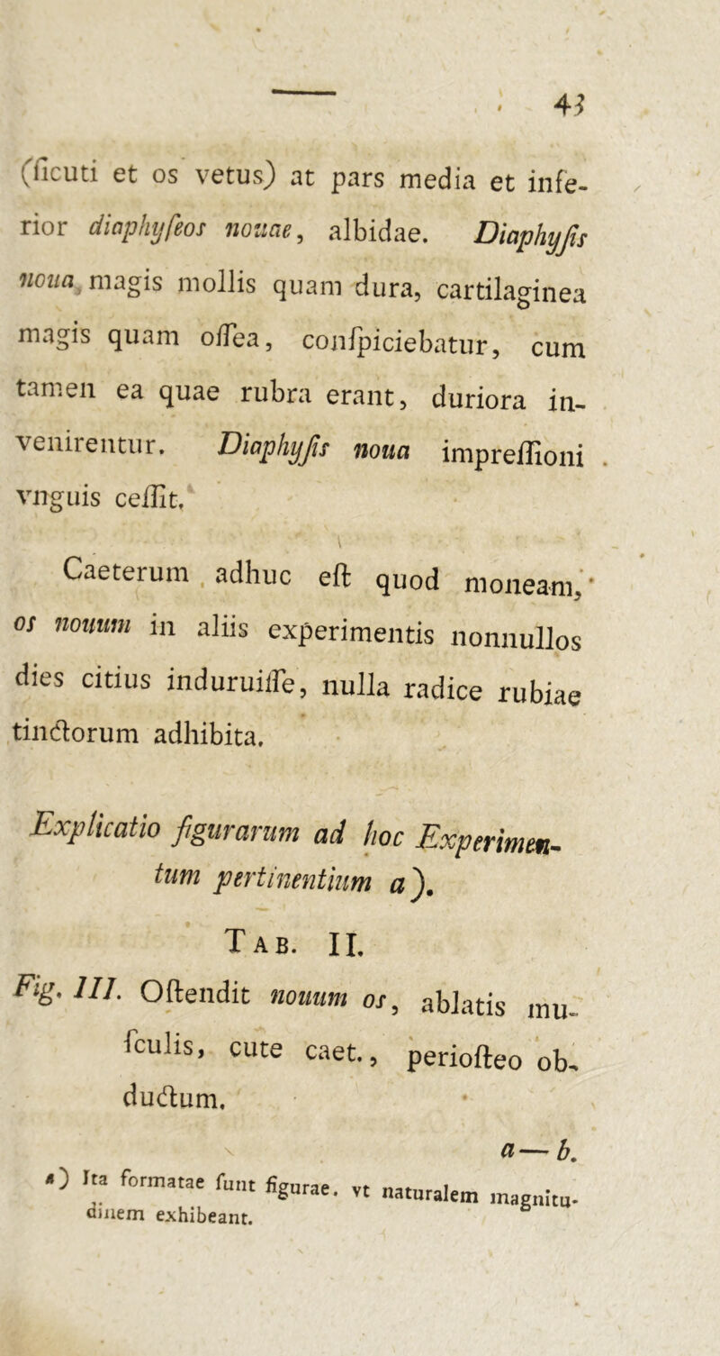 4^ (ficuti et os vetus) at pars media et infe- rior diaphijfeos notiae, albidae. Diaphyfs woz/fl magis mollis quam dura, cartilaginea magis quam o/Tea, confpiciebatur, cum tamen ea quae rubra erant, duriora in- venirentur. Diaphyjis noua impreflioni vnguis ceilit, Caeterum , adhuc eft quod moneam;' OS nonum in aliis experimentis nonnullos dies citius induruilFe, nulla radice rubiae tindorum adhibita. Explicatio figurarum ad hoc Experimen- tum pertinentium a\ Tab. II. Fig. III. Oftendit nouum os, ablatis mu- fculis, cute caet., periofteo ob, dudum. a—b. O I» formatae fu„t ornem exhibeant.