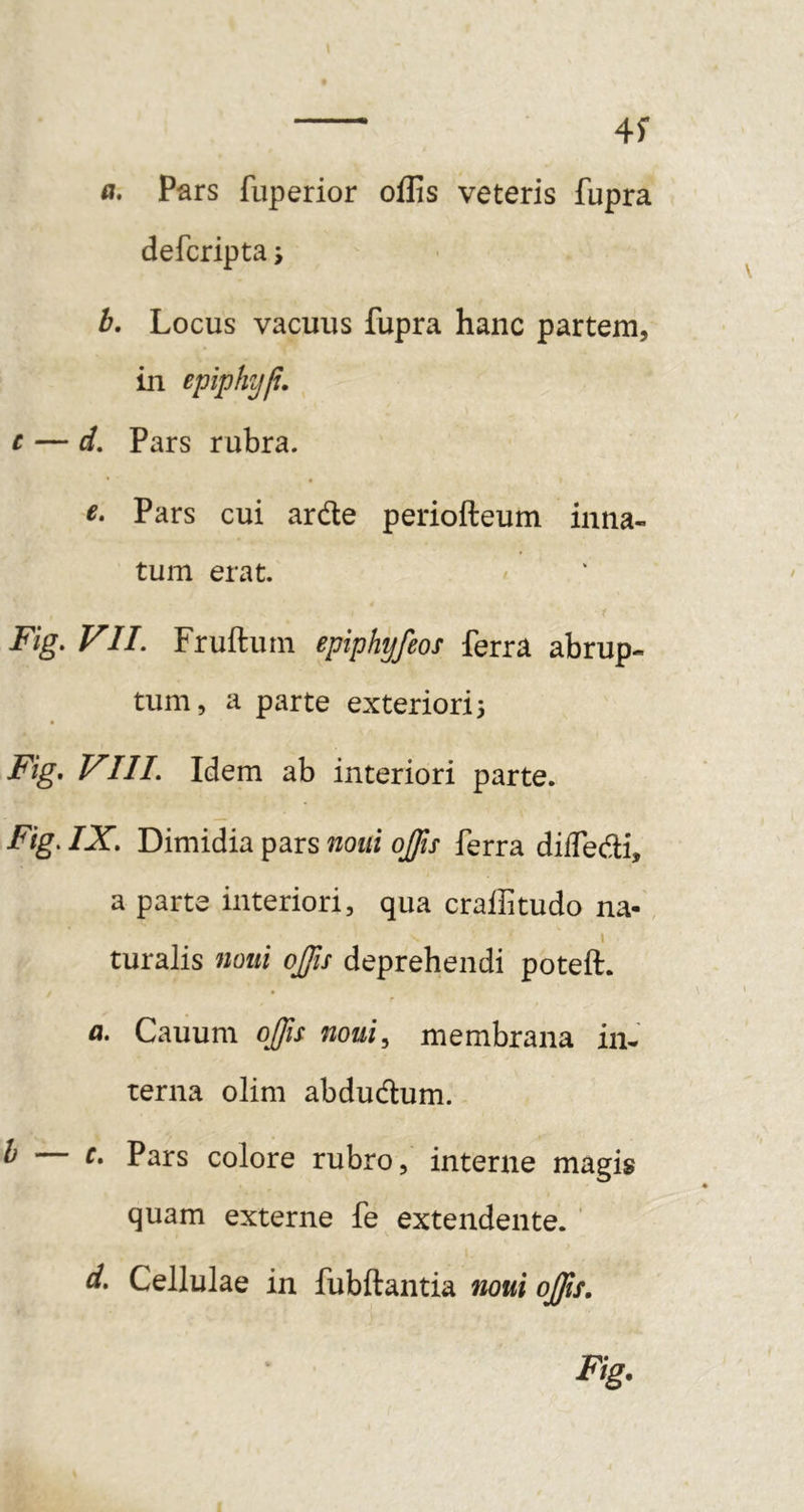 4f a. Pars fuperior offis veteris fupra defcripta; h. Locus vacuus fupra hanc partem, in epiphyp. c — d. Pars rubra. €• Pars cui arde periofteum inna- tum erat. Fig. VII. Fruftum epiphyfeos ferra abrup- tum, a parte exteriori 3 Fig, VIII. Idem ab interiori parte. Fig. IX. Dimidia pars noui ojfis ferra diffedi, a parte interiori, qua craffitudo na-, i turalis noui ojjis deprehendi poteft. a. Cauum ojfii noui, membrana in- terna olim abdudum. h — c. Pars colore rubro, interne magis quam externe fe extendente. ' d. Cellulae in fubftantia noui offis. Fig.