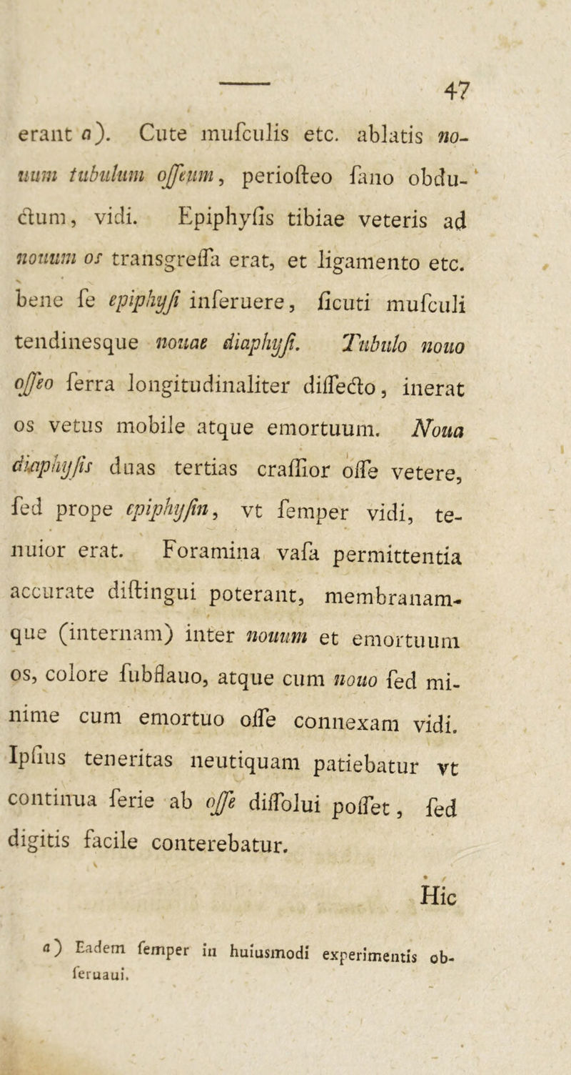 erant fl). Cute mufculis etc. ablatis wo- uum tubulum ojpitm, periofteo fimo obdu-' dum, vidi. Epiphyfis tibiae veteris ad nomim os transgrelUi erat, et ligamento etc. N * bene fe epiphyfi inferuere, ficuti mufculi tendinesque nouae diaphyfu Tubulo nono ojfeo ferra longitudinaliter diffedo, inerat os vetus mobile atque emortuum. Noua dmphyjis duas tertias craffior olTe vetere, fed prope cpiphijfm, vt femper vidi, te- nuior erat. Foramina vafa permittentia accurate diftingui poterant, membranam- » que (internam) inter nonum et emortuum os, colore fubflauo, atque cum nono fed mi- nime cum emortuo oife connexam vidi. Ipfius teneritas neutiquam patiebatur vt continua ferie ab ojfe di/folui poifet, fed digitis facile conterebatur. Hic «) Eadem femper iii huiusmodi experimentis ob- ieruaui.