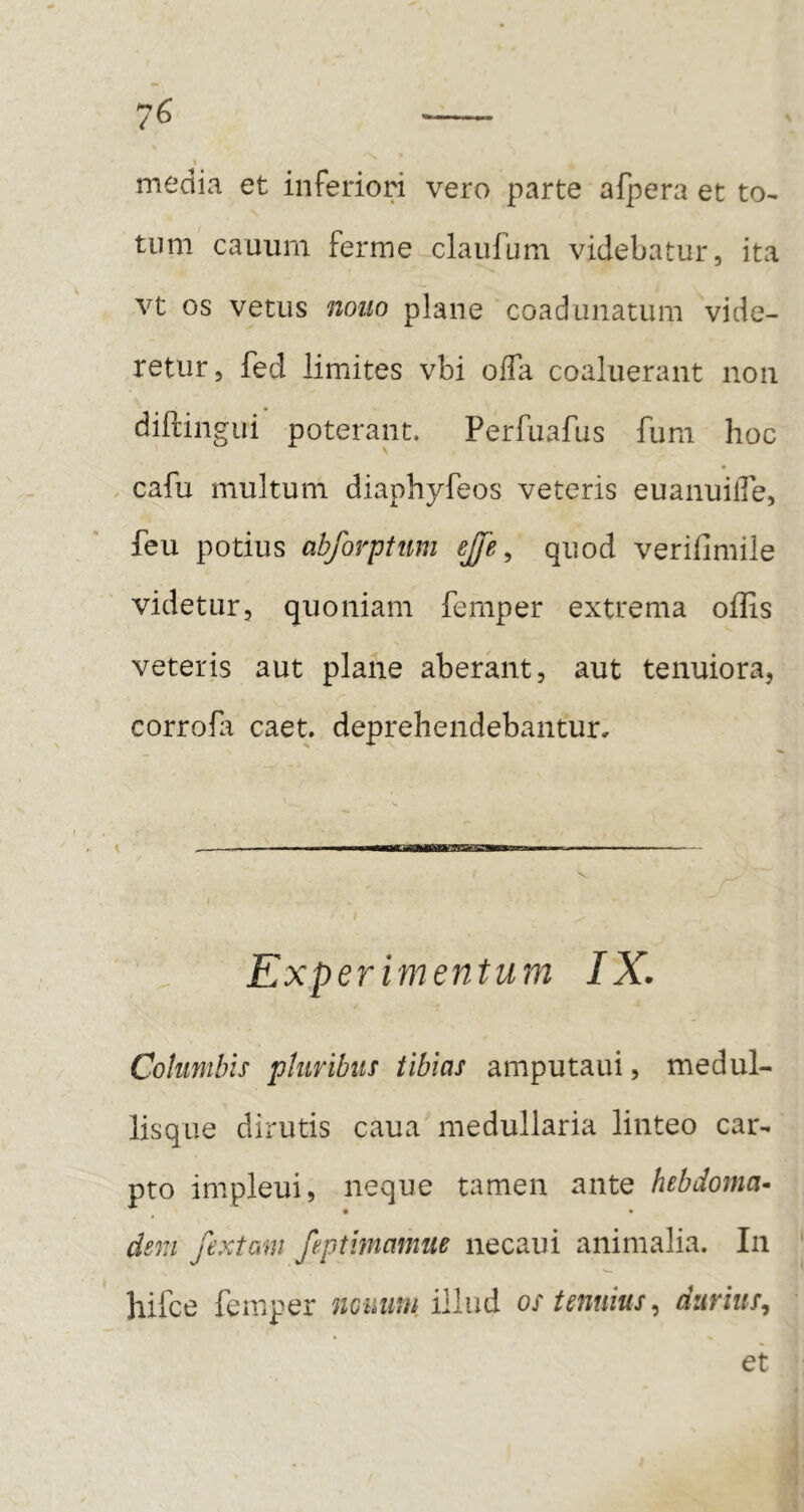 « media et inferiori vero parte afpera et to^ tum cauum ferme claiifuni videbatur, ita vt os vetus nono plane coadunatum vide- retur , fed limites vbi offa coaluerant non diflingui poterant. Perfiiafus fum hoc cafu multum diaphyfeos veteris euanuiffe, feu potius abforptum ejfe ^ quod verifimile videtur, quoniam femper extrema offis veteris aut plane aberant, aut tenuiora, corrofli caet. deprehendebantur, I ••  - I Experimentum IX. Columbis pluribus tibias amputaui, medul- lisque dirutis caua medullaria linteo car- pto impleui, neque tamen ante hebdoma. dem fextani feptimamue necaui animalia. In hifce femper ncuuni illud os tenuius^ durius^ et