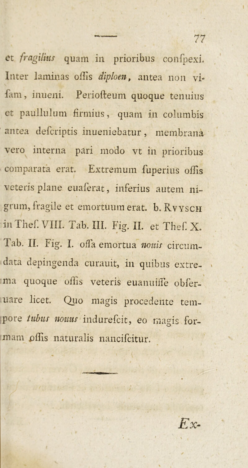 et fragilius quam in prioribus confpexi. Inter laminas offis diploen, antea non vi- fam, inueni. Periofteum quoque tenuius et paullulum firmius, quam in columbis antea defcriptis inueniebatur, membrana vero interna pari modo vt in prioribus comparata erat. Extremum fuperius offis veteris plane euaferat, inferius autem ni- ,,grum, fragile et emortuum erat. b. Rvysch iiiThef VIII. Tab. III. Fig. II. et Thef X. Tab. II. Fig. I. oli a emortua nonis circum- data depingenda curauit, in quibus extre- ma quoque offis veteris euanuilTe obfer- iiare licet. Quo magis procedente tem- ipore tubus nonus indurefcit, eo magis for- imam pffis naturalis nancifcitur. 'Ex-