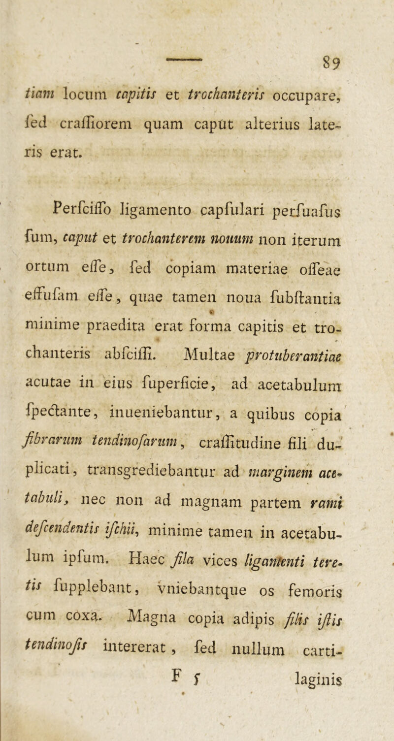 tiam locum capitis et trochanteris occupare, led craffiorem quam caput alterius late- ris erat. I I PerfciiTo ligamento capfulari petfuafus fum, caput et trochanterem nounm non iterum ortum elTe, fed copiam materiae oiTeae effuliim elTe, quae tamen noua fubftancia minime praedita erat forma capitis et tro- chanteris abfciili. Multae protuberantiae acutae in eius fuperficie, ad acetabulum fpedante, inueniebantur, a quibus copia' fibrarum tendinofarum, cralfitudiiie fili du- plicati, transgrediebantur ad marginem act^ tabidi, nec non ad magnam partem rami defcendentis ifchii^ minime tamen in acetabu- lum ipfum. Haec fila vices liganfenti tere- tis fupplebant, vniebantque os femoris cum coxa. Magna copia adipis fdis ifiis tendinofis intererat, fed nullum carti- F f laginis