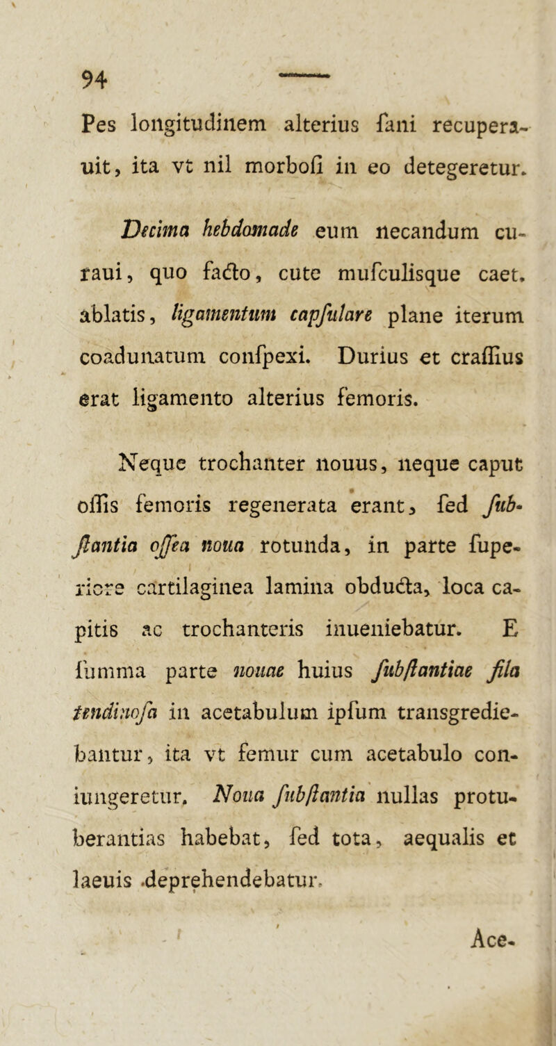 Pes longitudinem alterius fani recupera- uit, ita vt nil morbofi in eo detegeretur* Decima hebdomade eum necandum cu- raui, quo fado, cute mufculisque caet* ablatis, ligamentum capfulare plane iterum coadunatum confpexi. Durius et craflius erat ligamento alterius femoris. Neque trochanter nouus, neque caput olTis femoris regenerata erant ^ fed fub^ Jlantia ojfea noua rotunda, in parte fupe- ricre cartilaginea lamina obduda, loca ca- pitis ac trochanteris inueniebatur. E iiimma parte nonae huius fub/lantiae fila tendinofa in acetabulum ipfum transgredie- bantur, ita vt femur cum acetabulo con- iungeretur. Noua fubflantia nullas protu- berandas habebat, fed tota, aequalis et laeuis .deprehendebatur, ' ^ Ace.