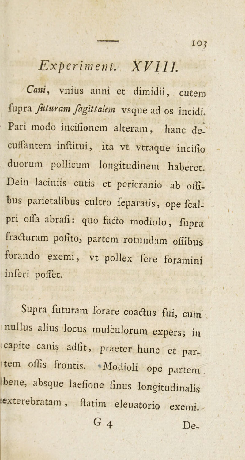 —^ 10 Experiment. XVIII. Cani, vilius anni et dimidii, cutem fupra futuram fagiUatem vsque ad os incidi. ' Pari modo incifionem alteram, hanc dei culfantem inftitui, ita vt vtraque incifio duorum pollicum longitudinem haberet. Dein laciniis cutis et pericranio ab offi- bus parietalibus cultro feparatis, ope fcal- pri ofla abrafl: quo fado modiolo, fupra ' fraduram pofito, partem rotundam offibus r forando exemi, vt pollex fere foramini inferi pofTet. I Supra futuram forare coadus fui, cum' nullus alius locus mufculorum expers j in capite canis adfit, praeter hunc et par- tem olfis frontis. «Modioli ope partem i bene, absque laefione finus longitudinalis texterebratam , ftatim eleuatorio exemi. - G 4 De-