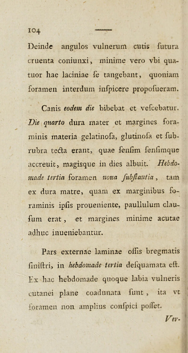 Deinde angulos vulnerum cutis futura cruenta coniunxi, minime vero vbi qua- titor hae laciniae fe tangebant, quoniam foramen interdum infpicere propofueram. Canis eodem die bibebat et vefcebatur. Die quarto dura mater et margines fora- minis materia gelatinofa, glutinolk et fub- rubra tedta erant, quae fenfim fenfimque accreuit, magisqiie in dies albuit. Hebdo- made tertia foramen noua fubjlantia , tam ex dura matre, quam ex marginibus fo- raminis ipfis proueniente, paullulum clau- fum erat, et margines minime acutae adhuc inueniebantur. Pars externae laminae olfis bregmatis finillri, in hebdomade tertia defquamata eft. Ex hac hebdomade quoque labia vulneris cutanei plane coadunata funt , ita vc foramen non amplius coufpici poifet. Ver-