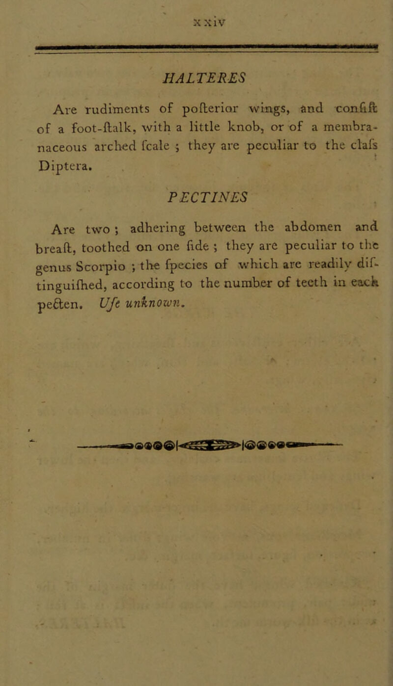 HALTERES Ai-e rudiments of pofterior wings, and confift of a foot-llalk, with a little knob, or of a membra- naceous arched fcale ; they are peculiar to the clafs Diptera. PECTINES Are two ; adhering between the abdomen and bread, toothed on one fide ; they are peculiar to the genus Scorpio ; the fpecies of which are readily dif- tinguifhed, according to the number of teeth in each peften. Ufe unknown.