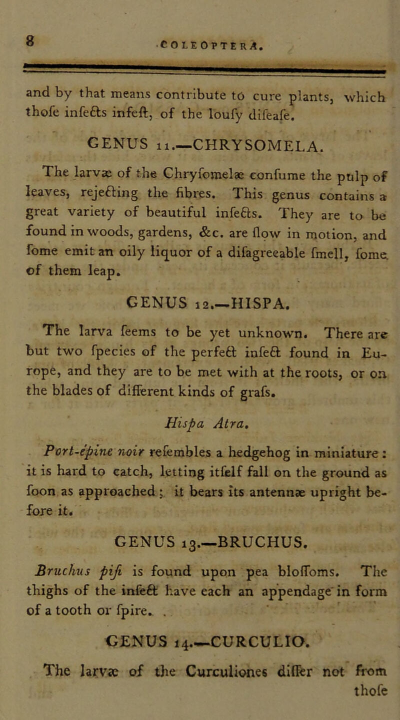 and by that means contribute to cure plants, which thofe infefts infeft, of the loufy difeafe, GENUS 11—CHRYSOMELA. The larvae of the Chryforaelae confume the pulp of leaves, rejefting the fibres. This genus contains a great variety of beautiful infeas. They are to be found in woods, gardens, &c. are flpw in motion, and fome emit an oily li<juor of a difagreeable fmell, fomci of them leap. GENUS 12.—HISPA. The larva feems to be yet unknown. There are but two fpecies of the perfetl infea found in Eu- rope, and they are to be met with at the roots, or on the blades of different kinds of grafs. Hispa Atra, Port-epine noir refembles a hedgehog in miniature : it is hard to catch, letting itCelf fall on the ground as foon as approachedit bears its antennae upright be- fore it. GENUS 13.—BRUCHUS. Bruchus pifi is found upon pea bloffoms. The thighs of the infeft have each an appendage' in form of a tooth or fpire. . GENUS 14 CURCULIO. The larvae of the Curculiones dllftr not from thofe