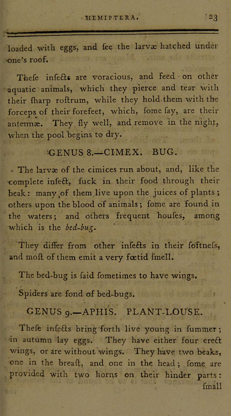 loaded with eggs, and fee the larvae hatched under one’s roof. I Thefe infe£ls are voracious, and feed on other aquatic animals, which they pierce and tear with their fharp roftrum, while they hold them with the forceps of their forefeet, which, fome fay, ai-e their antermi. They fly well, and remove in the night, when the pool begins to dry. ■GENUS 8.—CIMEX. BUG. . The larvae of the cimices run about, and, like the complete infeft, fuck in their food through their beak: many^of them.live upon the juices of plants ; others upon the blood of animals; fome are found in the waters; and others frequent houfes, among which is the bed-bug. They differ from other infefts in their fdftnefs, and mofl of them emit a very foetid fmell. The bed-bug is faid fometimes to have wings. Spiders are fond of bed-bugs. ; GENUS 9.—APHIS. PLANT-LOUSE. Thefe infects bring forth live young in fummer; in autumn lay eggs. They have either four ereCt wings, or are without wings. They have two beaks, one In the breafl, and one In the head; fome are provided with two horns on their hinder parts: ' fmall