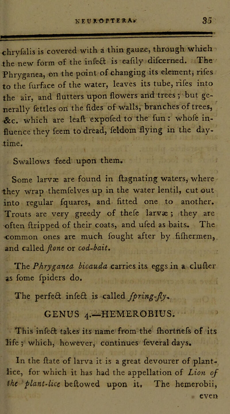 ^;Jjry{alis is covered, with a thin gauze, through which the new form of the infeft is eafily difcerned. The Phryganea, on the point of changing its element, rifes to the furface of the water, leaves its tube, rifes into the air, and flutters upon flowers and trees ; but ge- nerally fettles on the Tides of walls, branches of trees, &c. which are leaft expofed to the fun: whofe in- fluence they feem to dread, feldom flying in the day- time. Swallows feed upon them. Some larvae are found in ftagnating waters, where they wrap themfelves up in the water lentil, cut out into regular fquares, and fitted one to another. Trouts are very greedy of thefe larvae; they are often flripped of their coats, and ufed as baits. The 'Common ones are much fought after by fifhermen, and called Jlont or cod-bait. The Phryganea bicauda carries its tggs in a clufler as fome fpiders do. The perfeft infefl is called fpring-Jly, GENUS 4—HEMEROBIUS. This infeft takes its name from the fhortnefs of its life ; which, however, continues feveral days. In the ftate of larva it is a great devourer of plant- lice, for which it has had the appellation of Lion of the plant-lice bellowed upon it. The hemerobii, even