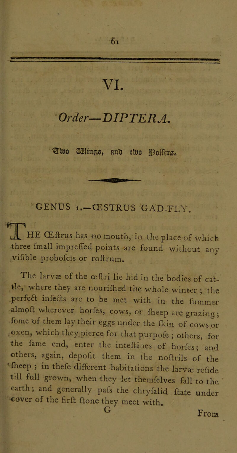 'Order—DIPTERA, SlHncgj, anti tloo ©oifcrj?* GENUS 1.—OESTRUS GAD-FLY. HE CEftrus has no mouth, in the place of which three fmall impreffed points are found without any vifible probofcis or roRrum. The larva: of the oeftri lie hid in the bodies of cat- tle, where they are noux'ifhed the whole winter ^ the perfea infeas are to be met with in the fummer •almoft wherever horfes, cows, or Iheep are grazing; feme of them lay their eggs under the fldn of cows or oxen, which they pierce for that purpofe ; others, for the fame end, enter the inteflines of horfes; and others, again, depofit them in the noflrils of the '-iheep ; in thefe different habitations the larvae rehde ttll full grown, when they let themfelves fall to the ’ earth; and generally pafs the chryfalid Rate under cover of the firR Rone they meet with. From