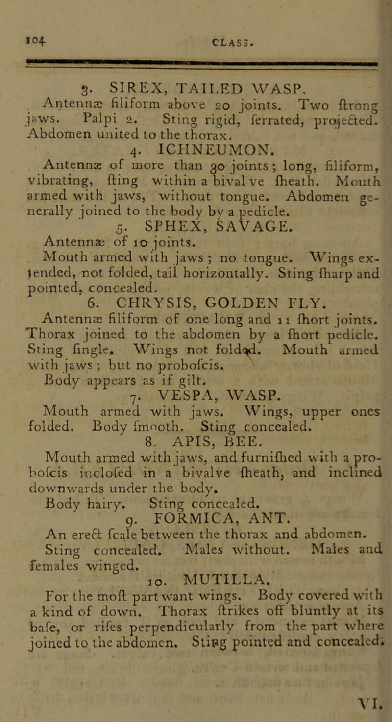 3. SIREX, TAILED WASP. Antennae filiform above 20 joints. Two flrong jaws. Palpi 2. Sting rigid, ferrated, projefted. Abdomen united to the thorax. 4. ICHNEUMON. Antennae of more than 30 joints; long, filiform, vibrating, fting within a bival ve fheath. Mouth armed with jaws, without tongue. Abdomen ge- nerally joined to the body by a pedicle. 5. SPHEX, SAVAGE. Antennae of 10 joints. Mouth armed with jaws ; no tongue. Wings ex- tended, not folded, tail horizontally. Sting fharp and pointed, concealed. 6. CHRYSIS, GOLDEN FLY. Antennae filiform of one long and 11 fhort joints. Thorax joined to the abdomen by a fhort pedicle. Sting fingle. Wings not fold^. Mouth armed with jaws ; but no probofeis. Body appears as if gilt. 7. VESPA, WASP. Mouth armed with jaws. Wings, upper ones folded. Body fmooth. Sting concealed. 8. APIS, BEE. Mouth armed with jaws, and furniflied with a pro- bofeis inclofed in a bivalve fheath, and inclined downwards under the body. Body hairy. Sting concealed. g. FORMICA, ANT. An ereft fcale between the thorax and abdomen. Sting concealed. Males without. Males and females winged. 10. MUTILLA. For the moll part want wings. Body covered with a kind of down. Thorax ftrikes off bluntly at its bafe, or rifes perpendicularly from the part where joined to the abdomen. Slipg pointed and concealed.