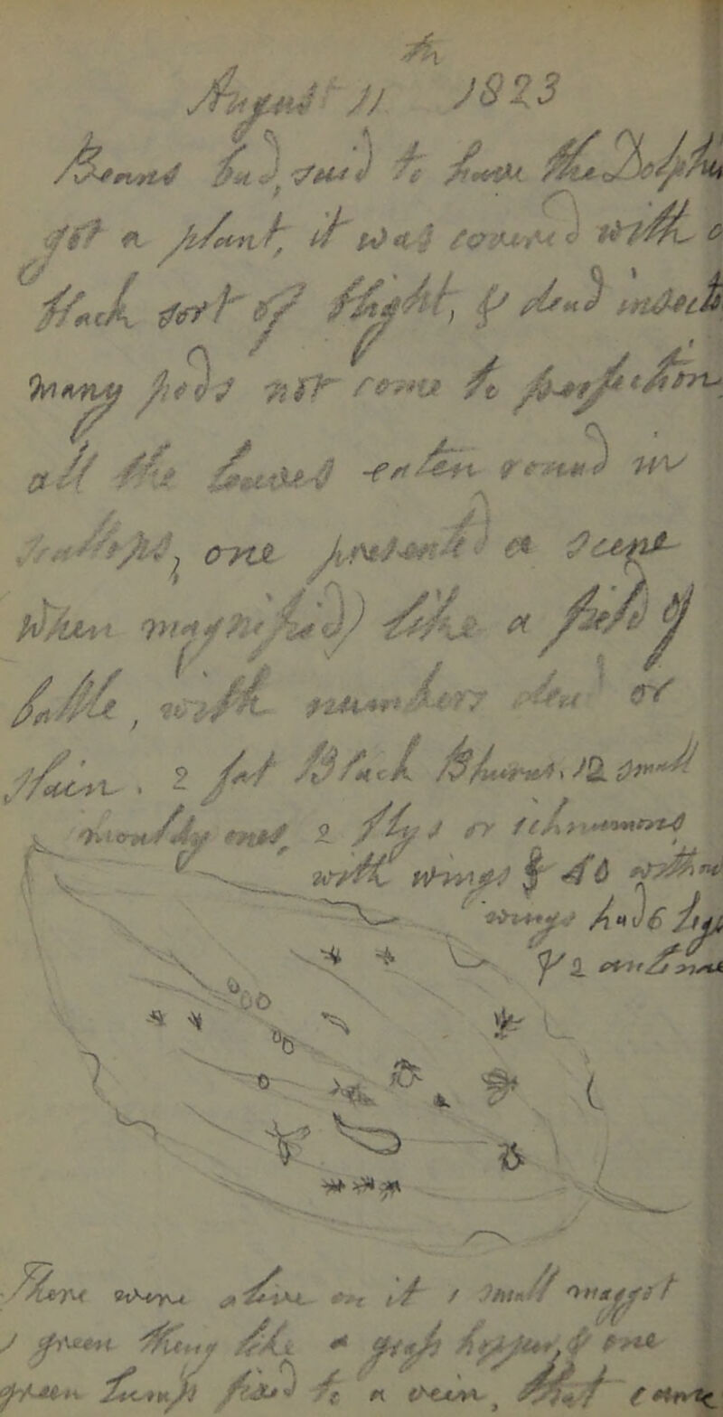 n o i^f?' ft A^«f/ /c;riU-i^^ ^ % 4^ /’ ^ ^ T( i^ (?/7t-> r/ »J/ /€^ f ’\ -j^ CrytH ^ ^ POAm ^ ?>m/.^^/W«1'^ ^ ^ f/ y ^ % f \ ^ ^ r’ ’ / '/^J . 9 /fi'A /SAhc/^ A^^neA\ ^2. ■ ; / >. > / /Jf m*y - ^ :\ 1 ■’ «a ■ P l_ *■ f* c 'V “ 5 ' -1 ®t>^^0^-» i» »^i»r /- / / :9/um/A *>*iififit