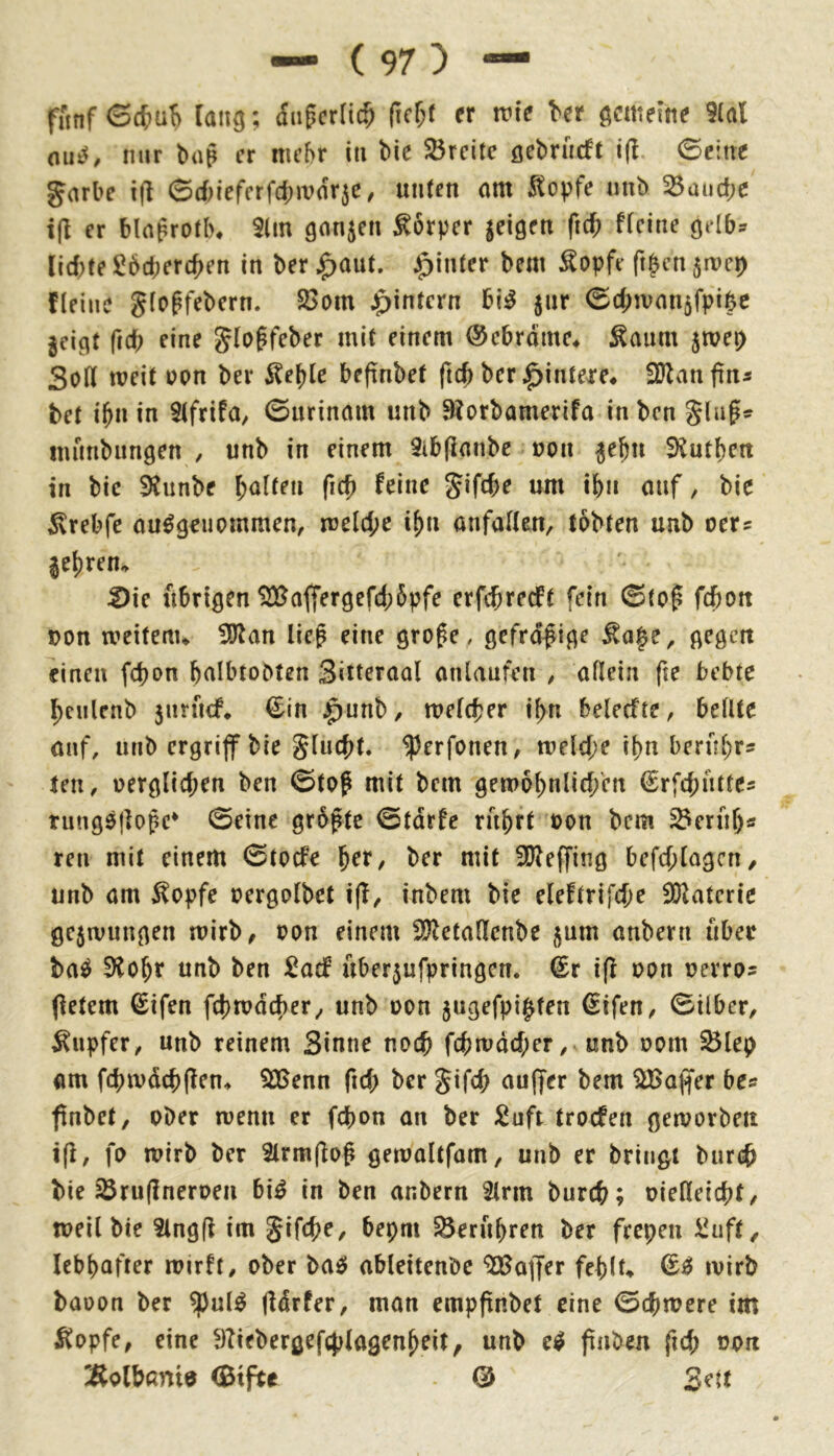 fünf <Sc^ut) lang; dugcrlic^ (icr;( er me ber gcmeme 9(al (lü^, nur baß er mehr in bie 25reite gebrneft Geilte gnrbe i(l 0rf)iefcrfd)mar5C, unten am ^opfe nnb 25aud;e i|l er blafrotln Slm ganzen Körper geigen fid) ffeine gelb:^ lichte ^bd;erc^en in ber J^aut. J^inter bem ^opfe ft§en5rve^ fteiue gfoffebern. S3om j^intern bij^ ^ur Gd^tvan^fpi^c jeigt fich eine glogfeber mit einem ©ebrdme* ^aum jwep 3oH weit upn bei* ^e^le befinbet ftch ber ^inteie* fblanjtn« bet ihn in ^Ifrifa, Gurinam unb 9?orbamerifa in ben Slapt? immbungen , unb in einem 9ib(lanbc oon ^e^u ^lutbett in bie SJiinbe l)aUen fich feine jifebe um ihn auf, bie ^rebfe ausgenommen, weld;e ihn anfatlen, tobten unb oers gehren. 2)ie übrigen 5JBaffergefd;6pfe erfebreeft fein Gtop fdhoit uon weitem* !)Kan lie^ eine grofe, gefrdfige gegen einen fc^on halbtobten Sitteraal anlaufen , allein fte bebte heiilenb 3nrucf* €in j^unb, welcher ihn belecfte, bellte auf, unb ergrijf bie flucht, ^erfonen, weld;e ihn berühr- ten, oerglichen ben Gtof mit bem gew6hnlid/en ^rfchüttes rungSjloßc* Geine größte Gtdrfe rührt oon bem ^erüf)« ren mit einem Gtoefe hrr, ber mit 3Weffing befd;lQgcn/ unb am ^opfe oergolbet i(T, inbem bie eleftrifche SDlatcrie ÖC5wungen wirb, oon einem 2?letallenbe jum anbern über baS 3iohr unb ben ^adf über5ufpringen. €r ifl oon oerro? (letem ©ifen fehwdeher, unb oon 5ngefpi^fen €ifen, Gilber, Tupfer, unb reinem Sinne noch fchwdd;er, unb oom ^lep am fchwdchflen* SBenn fid; ber gifch au(fer bem ^ajfer bcs fnbet, ober wenn er fchon an ber Suft troefen geworben ifi, fo wirb ber 2lrm(^og gewaltfam, unb er bringt bnri^ bie ^ru(ineroen biS in ben anbern 2lrm burch; oiefleicht, well bie 3lng(l im %\{öi)e, bepm ^Berühren ber frepen iiuft, lebhafter wirft, ober baS ableitenbe “^BaiJer fehlt* wirb baoon ber ^nlS jldrfer, man cmpfinbet eine Gchwere im ^opfe, eine ^Tiebergefthlagenheit, unb eS ftiiben fich oon Äolbßnid (Btfte @ Srtt