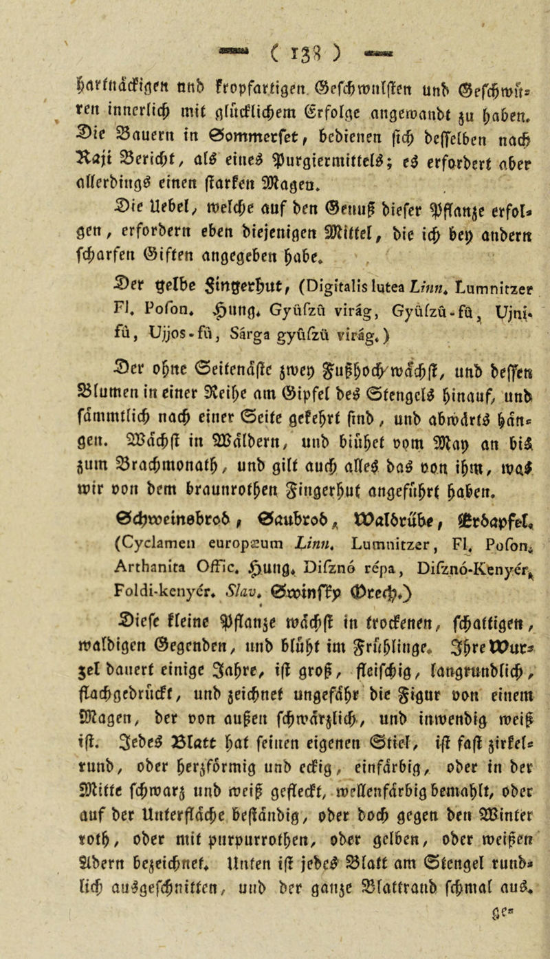 ^nr'fndcft^ert onb fropfattigeit. ®efcf)n?ii{(Tett unb (Serd^mus ren innerlich mit cjtürflic^em (Erfolge angemaubt ju ^aben. ^ic SSauerit in 0ommccfet, bebienen (teb beffeiben nad) Kajt Bericht, alS etne^ ^Juröicrmittcl^; erf(>rbert aber alferbtitö^ einen (iorfen SJlagen* ^ie Hebel, melcbe auf ben ®emig biefer ^ffan^e erfol* gen, erforbern eben biejenigen 50littel, bie i(^ bep anbern febarfen (Siften angegeben habe* 5)er gelbe (Digitalis lutea Linn^ Lumnitzer Fl, Pofon* $ung* Gyüfzu viräg, Gyüfzü-fü, Ujni* fii, Ujjos - fu, Särga gyülzü viräg«) 2)ei* ohne 0eitend(lc jmep g^u?bocb^roacb(!, unb beffen S3lumen in einer 9veibe am ©ipfel be^ 0tcngcl^ hinauf, unb fdmmtlicb nach einer 0eitc gefebrt fmb, unb abmdrt^ gen. iHJdcbfl in ^dlbern, unb biübef oom ilJlap an bi^ 5um ^racbmonatb, unb gilt aufb aHe^ ba^ oon ibm, wir non bem braunrotbeu Singerbut angeführt hn^n. ödbwetnebrob , 0öubro6 ^ tDalbrube, ®r6apfet, (Cyclamen europeum Linn, Lumnitzer, Fl. Pofon^ Arthanita Offic« J^ung* Difzno repa, DiPzpo-Kenyerj^ Foldi-kenycr« Slav^ 0öOtnff>) 0)re(^O 2)iefe fleine ^ffan^e wdcbfl in trorfenen, fdbattigeu, walbigen ©egenben, unb blüht int Sruhlinge^ 3hf^W>ur^ jel bauert einige 3nhfe/ i(l grog, ffeifebig^ langrtinblicb / flacbgcbrucft, unb jeiebnef ungefdhr bie gigur non einem Silagen, bet non äugen fcbwdrjlicb, unb inwenbig meig tg. 3^be^ Blatt hat feinen eigenen @tiel, ift faß 5irfeU tunb, ober herdförmig unb eefig, einfarbig, ober in ber tfJlittc febtnarj unb weig gefTecft, tneHenfdrbig bemahlt, ober auf ber Unterfldc^e begdnbig, ober boeb gegen ben SfBinter »oth/ ober mit purpurrothen, ober gelben, ober tneigen Sibern bejeiebneL Unten i(! jebc^ ^latt am ©tengel runb» lieb au^gefebnittett/ unb ber gaiide SBfatfranb fcbmal au^^ ge«