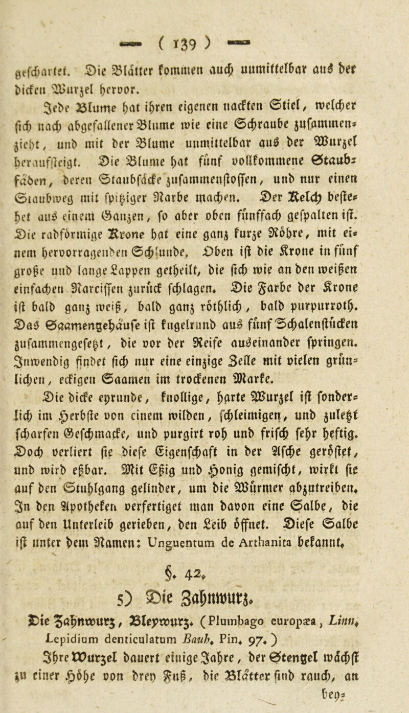 gcfimriff. S)ie 25Idttcr fommtn auc^ uumittcI6(jt auö t»er liefen ^arjel l)cn?or. 3ebe 33lume f)at i^ren eigenen naeften 0tie(/ welcher ficf; nad; abgefaUeneriBlume wie eine 0c{)raube jufammen» jicbt, unb mit ber ^lume unmittelbar an^ ber ^nrjel beraufileigt. ^ie ^liime ^at fünf uollfommene 0taubs fnben, bereu 0taubfdcfe 5nfammen(Iofl'en, unb nur einen 0iaubweg mit fpifeiger Dlarbe macben. 5)er ]^elcb bet auö einem (^anjen, fo aber oben fnnffad; gefpalten i(t. 5)ie rabformige Krone bat eine gan^ fur5e SJobre^ mit ei* nem beroorragenben 0cb!unbe, £>ben i(l bie ^rone in fünf große unb lange Sappen getbeilt, bie ftcb wie an ben weißen einfachen 3?arci|yen 5urucf fcßlagen* ^ie §arbc ber ^rone ijl halb gan3 weiß, halb ganj rotblicb / halb purpurrotb. ^a0 0aamertgebaufe i(l fugelnmb au^ funf0cbalen(lucfen gufammengefebt / bie oor ber ^eife au^einanber fprtngen. Snwenbig ßnbet ficß nur eine einjige 3efle mit oielen grnn= lieben, eefigen 0aamen im troefenen ÜDlarfe. 5)ie biefe eprunbe/ fnollige/ ^urjel i(! fonber* lieb im v^erb(le oon einem wilben, fcbleimigett/ unb 5ule|t febarfen ©efebmaefe, unb purgirt rob unb frifcb feßr b^Wö* ^oeb oerliert fie biefe (Eigenfcbaft in ber 3(fcbe gerbßel/ unb wirb eßbar. Eölit €ßig unb §onig gemifebt/ wirft fie auf ben 0tublgang gellnber, um bie ^^Jurmer abjutreiben* 3n ben Slpotbefen oerfertiget man baoon eine 0albe/ bie ouf ben Unterleib gerieben^ ben Seib 6ffnet. Siefe 0a(be ißt unter bew 9?amen: Unguentum de Arthanita befanut« 42. 5) ®tc Sa^ttwutj, 3Dte JabutoUQ / Sleptourj* (Plumbago curopaea, Ltnn^ Lepidium denticulatum Bauh^ Pin* 97*) 3brrtX)ut5el bauert einige Sabre, ber0tenflel wdcb(! i;u einer ^6be oon bren ^nß, bie Blatter fmb raueb/ an beps