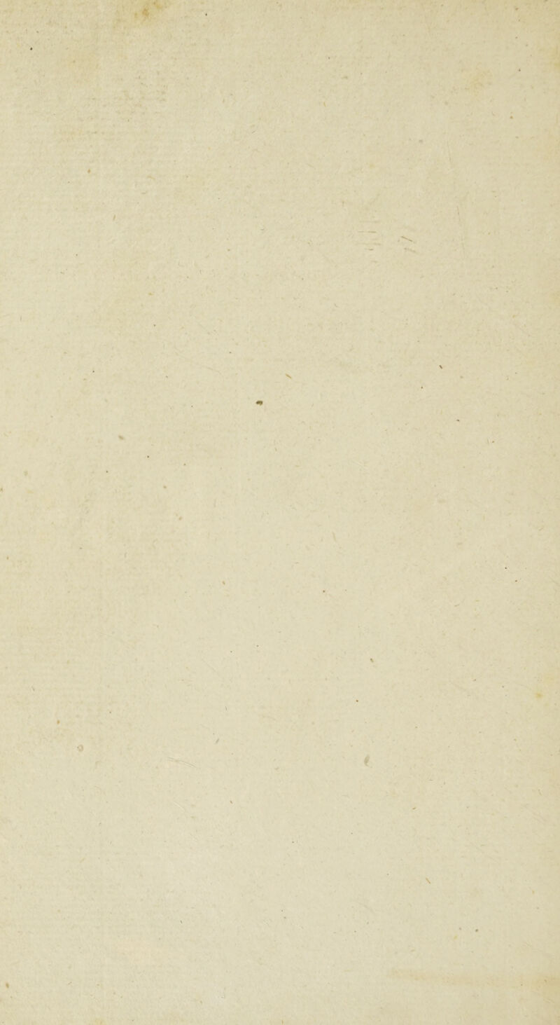 ' . . . ✓ ' - . - 1 — — • ■ | EE II x v . _ \ - . • * V t ' % v’ ' ' - * \ \ . .