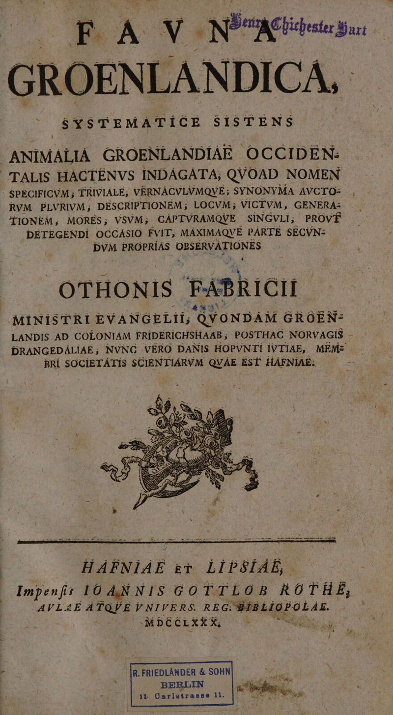 GROENLANDICA. $YSTEMATICE SISTENS . ANIMALIA GROENLANDIAE OCCIDEN:- TALIS HACTEÉNVS INDAGATA; QVOAD NOMEN | SPECIFICVM ; TRIVIALÉ, VERNACVLVMQVE; SYNONYMA AVCTO- RVM PLVRIVM; DESCRIPTIONEM; LOCVM; VICTVM, GENERA- TIONEM, MORES; VSVM; CÁPTVRAMQVE SINGVLI, PROVÉ DETEGENDi OCGASIO FVIT, MÁXIMAQVE PARTE SECVN- DVM PROPRÍAS OBSERVATIONES OTHONIS FABRICII E &amp; LT st 3 ! MINISTRI EVANGELII; QVONDÁM GROEN* LANDIS AD COLONIAM FRÍDERICHSHAAB ; POSTHAC NORVAGIS - DRANGEDALIAE; NVNGC VERO DANIS HOPVNTIIVTIAE, MEMs - BRÍ SOCIETÁATÍS SCIENTIARVM QVAE EST HAFNÍAE: — - HAFNIAE &amp;T LIPSÍAE, Impen fi I0 AN NIS GOTTLOB ROTHE, AVL 4E ATQVE Y NIVERS. REG: NIMELO LAE Mb66ixEX, - SERE R.FRIEDLÁNDER &amp; SOHN