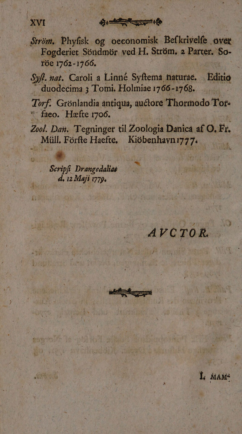 ; Brom. Phyfi sk og sicot oe Befkrivelfe n Fogderiet Sóndmór. ved H, Stróm., 2 Parter. Po- róe ges -1766. Syf. nat. Caroli a Linné Syftema faturae. Editio - duodecima j Tomi, Holmiae 1766- 1568. Tif. Grónlandia antiqua, auctore Thormodo Tot- ;d faeo.- Hefte 1706. | Zool Dat. Tegninget tilZ Zoologia Dahicá. af O. Ei. Müll. Fórfte Haefte, Kióbenhavn efe. Scrip Drangedaliaé 4d, iz Maji 79. € I; MAMS |