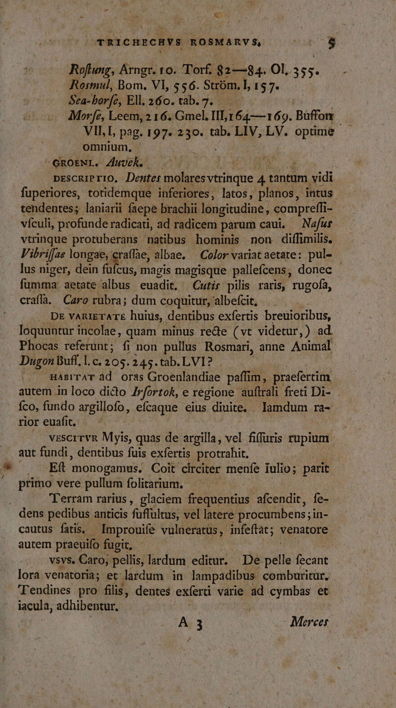 v  1 TRICHECHVS ROSMARV S, LET MM | Rofng, Arngr. ro. Torf, $2—84. Ol, que Rosmul, Bom. Vl, $56. Sróm. L 157 Sca-borfo, Ell. 260. tab. 7. Mor[e, Leem, 2 16. Gmel. III, 164—169. Büffon  VII, L, pag. 197* 230. tab. LIV, LV. optime omnium, | GROENI. 4Auvek. — | à pescmiPrio, Denter molares yttildbe 4 tantum vidi fuperiores, totidemque inferiores, latos, planos, intus. tendentes; laniarii faepe brachii longitudine, compreffi - vículi, profunde radicati, ad radicem parum caui, —Nafur vtrinque protuberans natibus hominis non diffimilis,. Vibrifae longae, craffae, albae. Color variataetate: pul- | lus niger, dein [MES magis magisque pallefcens, donec rna aetate albus euadit, Cutir pilis raris, rugofa, craffa. Caro rubra; dum coquitur, albefcit, j D&amp; VARIETATE huius, dentibus exfertis breuioribus, - lódclte: incolae, quam minus rede (vt videtur ,) ad. Phocas referunt ; fi non pullus Rosmari, anne Animal. Dugon Bufl. l.c. 20$. 245. tab. L VI? . | ^ maBITAT àd oras Groenlandiae paffim, praefertim autem in loco dicto 4rfortok, e regione. auftrali freti Di- íco, fundo argillofo, efcaque eius diuite. . lamdum ra-. rior euafit,. vzscrrvs Myis, quas de argilla, vel fiffuris rupium aut fundi, dentibus fuis exfertis protrahit, N^ Ed monogamus. Coit circiter menfe iulio; parit primo vere pullum folitarium. — Terram rarius, glaciem frequentius afcendit, fe- dens pedibus anticis fuffultus, vel latere. procumbens; in- cautus fatis, Improuife vulneratus, infeftat; venatore autem praeuifo fugit, | vsvs. Caro, pellis, lardum editur. De ven cant lora venatoria; et lardum in lampadibus. comburitur, 'l'endines pro filis, dentes exferti várie ad cymbas et j iacula, adhibentur, Me A 3 - Merees