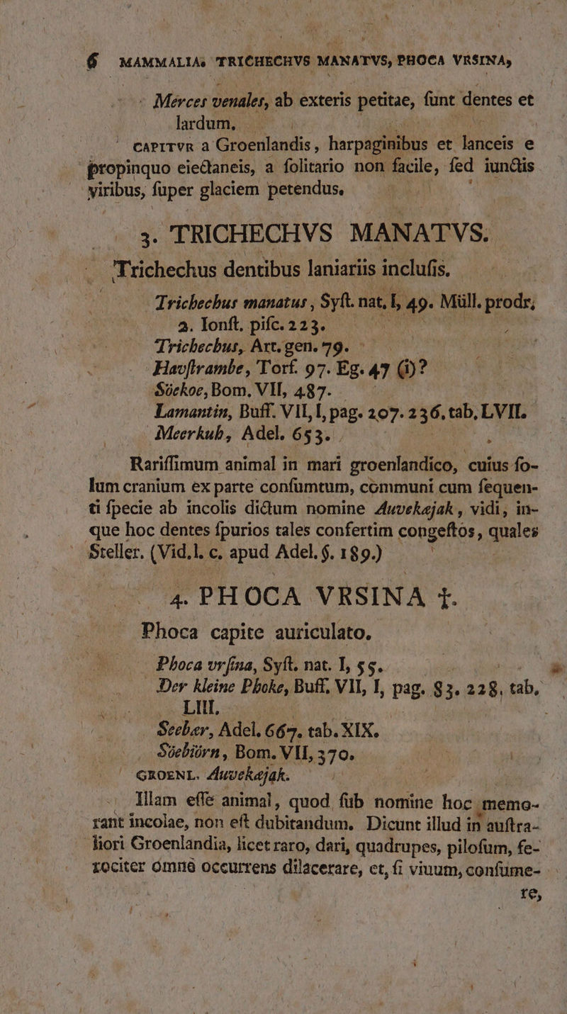 - Mercer venales; ab exteris pen funt. dentes et lardum. — . . caprrrvn a Groenlandis harpaginibus et. Uices e propinquo eiedaneis, a folitario non facile, fed iundis | viribus, fuper glaciem petendus, 3. TRICHECHVS MANATVS. aT richechus dentibus laniariis inclufis $. Tricheebus manatus , Syft nat, 49 Müll. prod, 2. Ionft. pifc. 223. ! Trichecbus, Axt. gen. 79. . Havfirambe , Tort. 97. 5. 4T  Sückoc, Bom. VII, 487. Lamantin, Buff. VIL, L pag. 207. 236. tab, LVII. Meerkub, Adel. 653.. Rariffimum animal in. mari m linea. lum cranium ex parte confumtum, communi cum fequen- ti fpecie ab incolis didum nomine Zuvekaejak, vidi, in- «ue hoc dentes fpurios tales confertim congeftos, quales Sceller (e c. nus Adel.$. 189.) à 4. PH OCA VRSINA i. Phoca capite auriculato. Pboca vrfna, Syít. nat. I, $5. | - Der. kleine Phoke, B Buff, V1I, hn pag. 83. 128. tab, ex. .. LIII. Seeber, Adel, 667. tab. XIX, Suebiórn, Bom. VII, 370. GEOENL. Auvekejak. : Ilam effe animal, quod, füb nomine hoc memo- rant incolae, non eft dubitandum. Dicunt illud i in auítra- lior Groenlandia, licet raro, dari, quadrupes, pilofum, fe- rociter Omrte occurrens dilacerare, et, fi viuum, confüme- te,