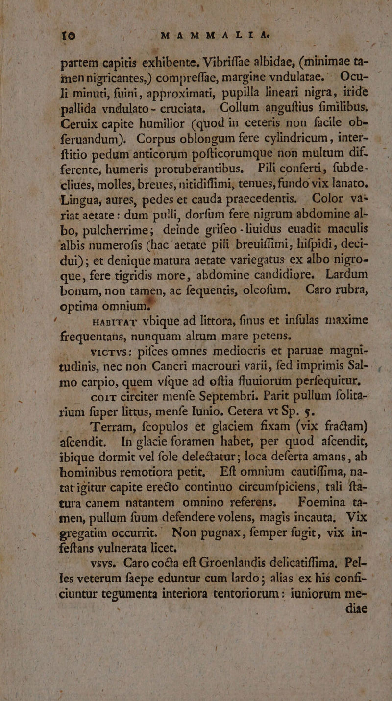 . partem capitis e. NUR Vibriffae Mies (rhinimae ta- imennigricantes,) compreffae, margine vndulatae.' ^. Ocu- Ii minuti, fuini, approximati, pupilla lineari nigra, iride pallida vndulato- cruciata, ||. Collum anguftius fi fimilibus, Ceruix capite humilior (quod in ceteris non facile ob- .feruandum).. Corpus oblongum fere cylindricum, inter- flitio pedum anticorum pofticorumque non multum dif- ferente, humeris protuberantibus, Pili conferti, fubde- cliues, molles, breues, nitidiffimi, tenues, fundo vix lanato. Lingua; aures, pedes et cauda praecedentis. Color va- riat aetate : dum pulli, dorfürn fere nigrum abdomine al- bo, pulcherrime; deldde grifeo -liuidus euadit maculis albis numerofis (hac aetate pili breuiffimi, hifpidi, deci- dui) ; et denique matura aetate variegatus ex albo nigro- .que, fere tigridis more, abdomine candidiore. Lardum bonum, non tamcn, ac Mia. oleofum. Caro rubra, optima omniu ( HABITAT AC ad littora, finus et infulas maxime frequentans, nunquam altum mare petens. vicrvs: pifces omnes mediocris et paruae magni- tudinis, nec non Cancri macrouri varii, fed imprimis Sal- , mo carpio, quem víque ad oftia fluuiorum perfequitur, . corr circiter menfe Septembri. Parit pullum folita- rium füper littus, menfe Iunio. Cetera vt Sp. s. Ferram, fcopulos et glaciem fixam (vix fradam) afcendit. In glacie foramen habet, per quod afcendit, ibique dormit vel fole delectatur; loca deferta amans , ab hominibus remotiora petit. Eft omnium cautiffima, na- tat igitur capite erecto continuo cireumfpiciens, tali fta- tura canem natantem omnino referens. ^ Foemina ta- men, pullum fuum defendere volens, magis incauta; Vix gregatim occurrit. Non pugnax, femper fugit, vix in- feftans vulnerata licet. /. 'vsvs. Caro coca eft Groenlandis delicatiffima. pel- les veterum faepe eduntur cum lardo; alias ex his confi- .ciuntur tegumenta interiora tentoriorum: iuniorum me- | ! | diae