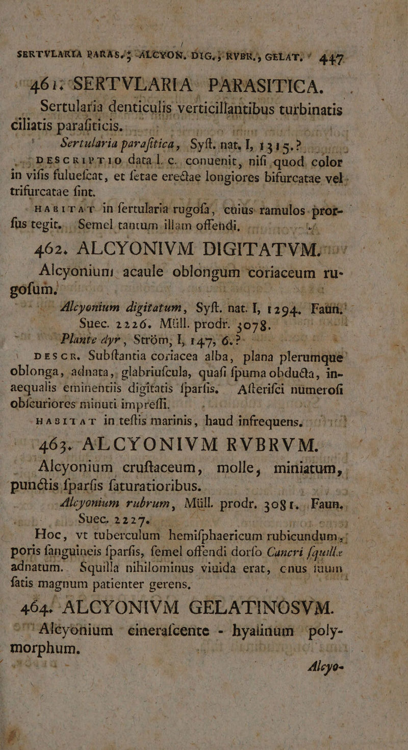 461: SERTVLARIA | PARASITICA, .. Sertularia denticulis verticillantibus turbinatis ciliatis parafiticis... .. eid Sertularia parafí tica, Sy fi ini dae 2 MM UPBESCRIPTIO datal c. conuenit, nifi quod. color in n is fuluefcat, et fetae ere&amp;ae espe Eifürenpte vel: trifur catae fint. fus tegit. Bemel tantum jon ofbndi. iiuinoyoM 'g2* LUE nu 462. ALCYONIVM DIGITATVM.:: Hy Alcyoniuni: acaule hi s coriaceum n pep — Zlcyonium digititun, Syft. nat. T, T Tati Suec. 2226. Mill. gi j978. e m Plante Ayr , Stróm; L, M PEE o4 ie Md. MR pnESCmn. Subfílantia cojiacea alba, plana plerumque oblonga, adnata, glabriufcula, quafi i fpuma obdudaa, in- aequalis eminentiis dipitatis fparfis, - Afterifei PuRieron obícuriores minuti impreffi. ^ HA3ITAT in teflis marinis, haud. Maire rd 463. ALCYONIVM RVBRVM. ; . Alcyonium. cruftaceum, molle, miniatum, . punétis fparfis faturatioribus. . -dicyonium rubrum , Mitt. prodr. 3og r. s Faut; 1io:9UECG 22 294 E. 4 : Hoc, vt tuberculum- hemifphaericum fubicudidutnd poris fanguinis fparfis, femel offendi dorfo Cancri fquill.e adnatüm.. Squilla nihilominus. viuida erat, cnus iaum fatis magnum patienter gerens, - 46a ALCYONIVM GELATINOSY 'M. / Alcyonium - cinerafcente - hyainum Load | morphun, n : iu CON (ERA us