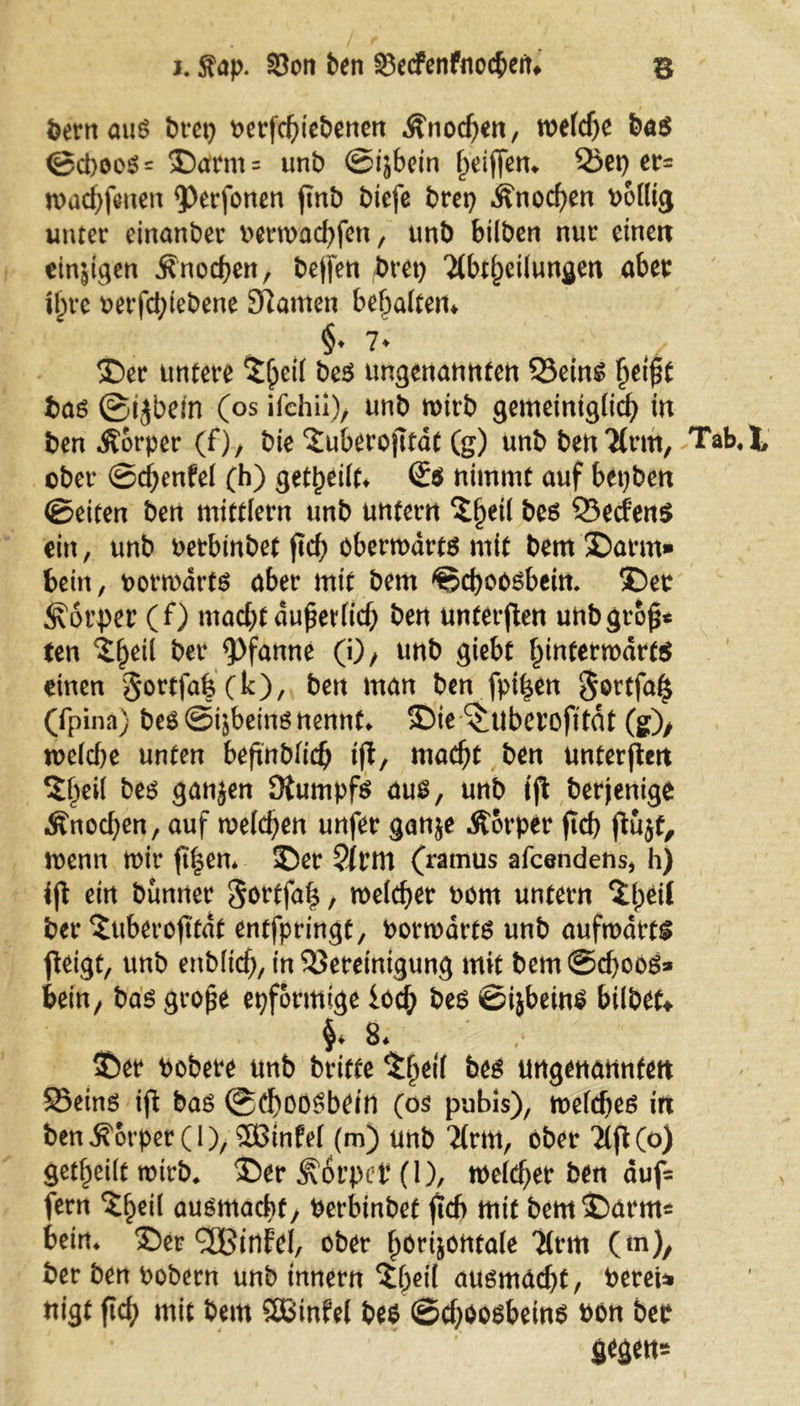 j. $ap. 93on ben 93ecfenfncc|>eit^ b bernauS brep t>erfc^>tct>encrt Knochen, welche bas ©cboos = ©arm = unb ©ijbein Ziffern S3ci> er- wachfenen <Perfonen jtnb biefe brep Knochen wollig unter einanber oerwachfen, unb hüben nur einen einzigen .Knochen, helfen brep Ttbtheiiungen aber iljre oerfd;tebene Sftamen bemalten* §♦ 7* ©er untere tycil be$ ungenannten Q3eins heift bas ©ijbein (os ifchii), unb rottb gemeinigiich in ben Körper (f), bte ^uberojitdt (g) unb ben TCrm, Tab«|> ober ©djenfei (h) gereift* nimmt auf bepben ©eiten ben mittiern unb untern bes Q3ecfen$ ein, unb Petbinbet jtch oberwdrts mit bem ©arm» bein, porwarts aber mit bem ©cboosbein. ©er Körper (f) madjrt duheriich ben unterften unbgro£* ten £f)etl ber Pfanne (0/ unb giebt hinterwärts einen 3ortfa|(k), ben man ben fpi^en $ortfa£ (fpina) bes@t5beinö nennt, ©ie ^uberofttdt (g), weiche unten beftnbiich ifl, macht ben Unterwelt $hei( bes ganjen Stumpfs aus, unb ijt berjenige Knochen, auf welchen unfer ganje Körper ftd) ftujt, wenn wir ft|en* ©er 2(rm (ramus afcendens* h) ein bunrter 5^rtfa|, weicher Pom untern ber ©iberojtfdt entfpringt, vorwärts unb aufwärts fieigt, unb enbiich, in SSereinigung mit bem@d)oos* bein/ bas grope epformige loch bes ©ijbeins biibet* ^ 8. ©er Pobere unb brifte bes ungenannten S5eins ift bas ©ChoöSbein (os pubis), weiches in ben Körper (1), SEBinfei (m) unb Tirm, ober 2lft(o) gereift wirb* ©er Körper (1), weicher ben auf= fern ^^cit ausmacbf/ Perbmbet ftcf> mit bem ©arm* beim ©er SEßinfel, ober hbrijontaie 7(rm (tu), ber ben Pobern unb tnnern ©peil ausmad)t, Perei* nigt ftd; mit bem SBBinW bes ©djoosbeins Pbn ber gegen*