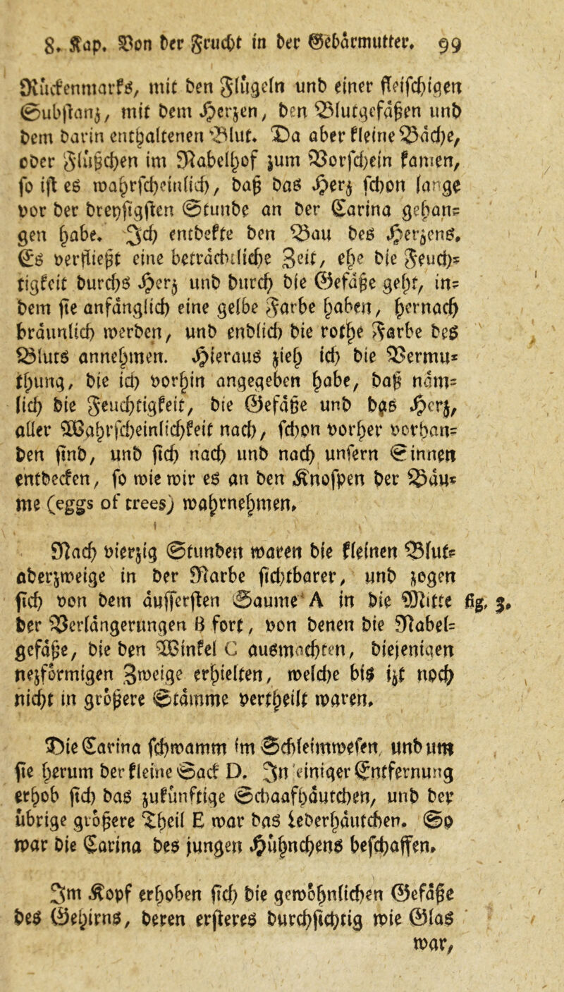 övücfenntarfs, mit Pen gfugeln unP einer jTetfcpigen ©ubflanj, mit Pem J?er$en, Pen 2Mutgcfd£en unp Pem Parin enthaltenen \JMut* 35a aber fleineVdd)e, oDer glüfcpen im SRabelpof $um Vorfcpein famen, fo ifl eö maprfcprinlid), Pafj Pas $}ir$ fdmn fange ttor Per Prepjigjtcn ©tunPe an Per Earina geban? gen habe* 3^ entPefte Pen Vau Pes JjetäenS, Es verfließt eine betradulkpe 3dt, ef>e Pie $eud)? tigfeit Purd)S $er$ unP Purcp Pie ©efdße gel)t, in? Pem fie anfänglich eine gelbe $arbe paben, ^crnac^ braunlicp merPen, unP enPlicb Pie rotpe ^arbe Pes Silurs annehmen, hieraus jiep tcp Pie Vermu* tpung, Pie id) t>or^iri angegeben pabe, Paß ndm= fid) Pie geueptigfeit, Pie ©efdße unp P#s $cr$, aller ®aprfcpeinlid)£eit naep, fdmn vorher uorpan? Pen jtnp, unP fiep naep unP naep unfern ©innen entPecfen, fo mie mir es an Pen Änofpen per Vau* me (eggs of trees) mahrnehmen» f - ' s t ' \ Sftacp uiersig ©timPen maren Pie fleinen Vfut? aPerjmeige in Per Slarbe jkptbarer, unP liegen fiep Pen Pem aufferjlen Saume A in Pie SRitte ßg, 3 Per Verlängerungen ö fort, fron Penen Pie 9Habel= gefdfje, PiePen SBinfel C ausmoepten, Piejentaen nejformigen 3meige erhielten/ melcpe bis %t noep niept in größere Stamme Pertpeilt maren* 35ie£arina fdpmamm fm ©ebleimmefen, unbum jie herum Per fletnc ©ad D, einiger Entfernung erhob jtd) Pas jufunftige Scbaafpdutd)en/ unp Per übrige größere ^pdl E mar Pas iePerpdutcben. ©p mar Pie Earina Pes jungen #üpncpens befepaffen» 3m Äopf erhoben jtd) Pie gemotjnlicpen ©efdfje Pes ©eptrns, Peren erfteres Purcpfteptig mie ©las mar,