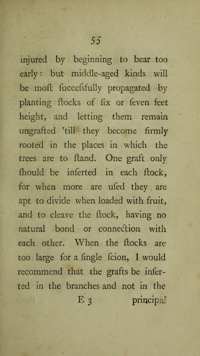 injured by beginning to bear too early: but middle-aged kinds will be mod; fuccefsfully propagated by planting fhocks of fix or feven feet height, and letting them remain ungrafted ’till they become firmly rooted in the places in which the trees are to ftand. One graft only fhould be inferted in each ftock, for when more are ufed they are apt to divide when loaded with fruit, and to cleave the ftock, having no natural bond or connection with each other. When the ftocks are too large for a fingle fcion, 1 would recommend that the grafts be infer- ted in the branches and not in the E 3 principal