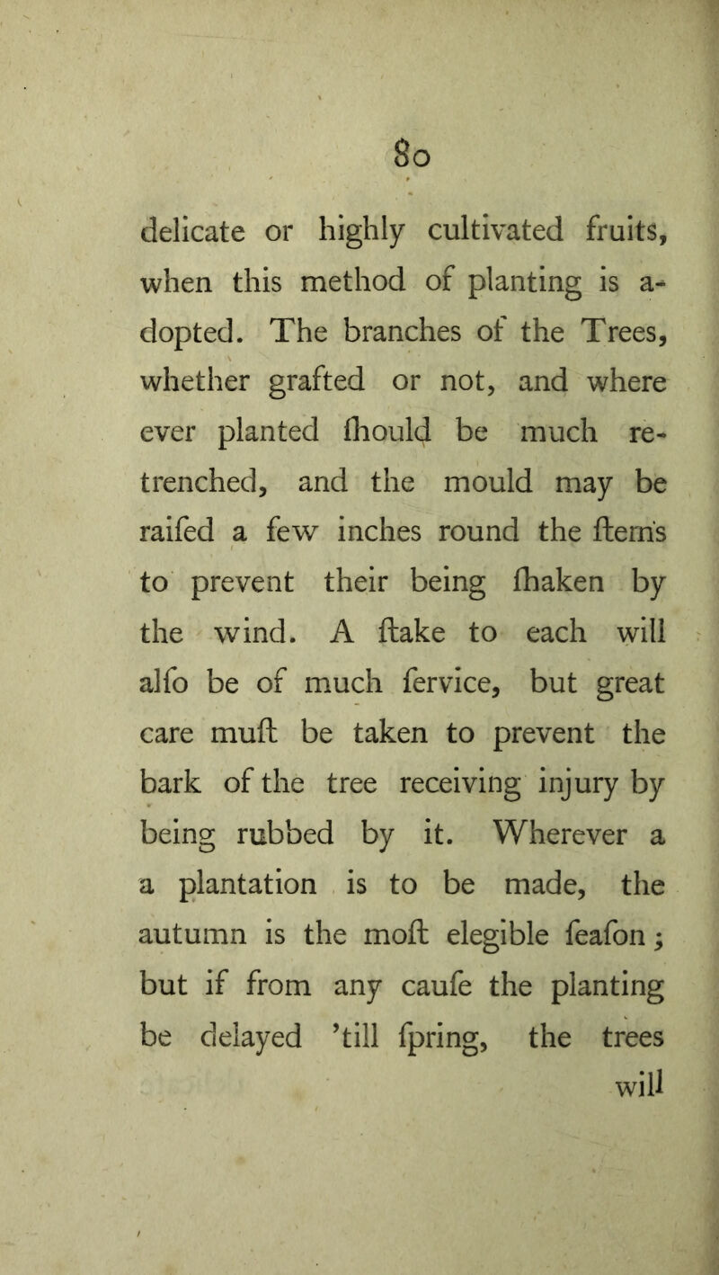 delicate or highly cultivated fruits, when this method of planting is a- dopted. The branches of the Trees, whether grafted or not, and where ever planted fhould be much re- trenched, and the mould may be raifed a few inches round the fterhs to prevent their being thaken by the wind. A flake to each will alfo be of much fervice, but great care muft be taken to prevent the bark of the tree receiving injury by being rubbed by it. Wherever a a plantation is to be made, the autumn is the moft elegible feafon; but if from any caufe the planting be delayed ’till fpring, the trees will