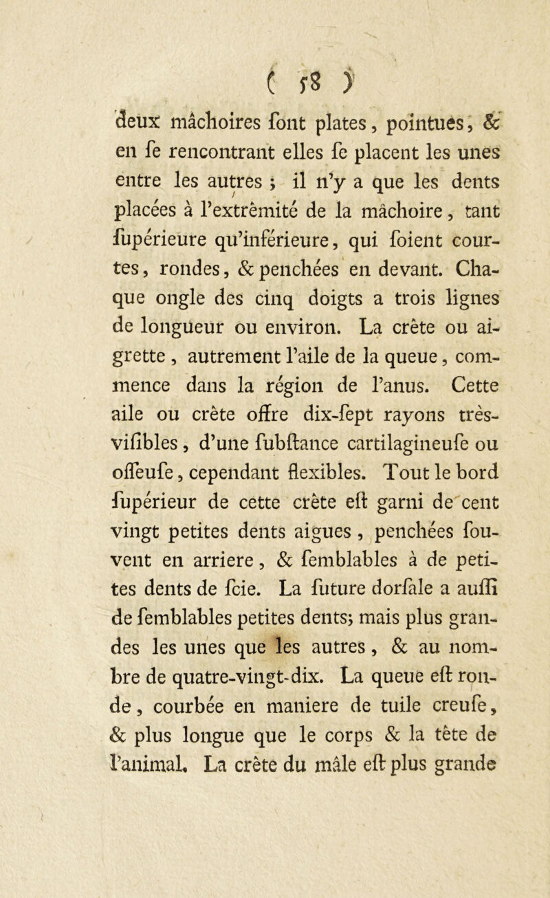 c fs y deux mâchoires font plates, pointues, & en fe rencontrant elles fe placent les unes entre les autres ; il n’y a que les dents placées à l’extrémité de la mâchoire, tant fupérieure qu’inférieure, qui foient cour- tes , rondes, & penchées en devant. Cha- que ongle des cinq doigts a trois lignes de longueur ou environ. La crête ou ai- grette , autrement l’aile de la queue, com- mence dans la région de l’anus. Cette aile ou crête offre dix-fept rayons très- vifibles , d’une fubftance cartilagineufe ou offeufe, cependant flexibles. Tout le bord fupérieur de cette crête eft garni de cent vingt petites dents aigues , penchées fou- vent en arriéré, & femblables à de peti- tes dents de fcie. La future dorfale a auilî de femblables petites dents; mais plus gran- des les unes que les autres, & au nom- bre de quatre-vingt-dix. La queue eft ron- de , courbée en maniéré de tuile creufe, & plus longue que le corps & la tète de ranimai, La crête du mâle eft plus grande