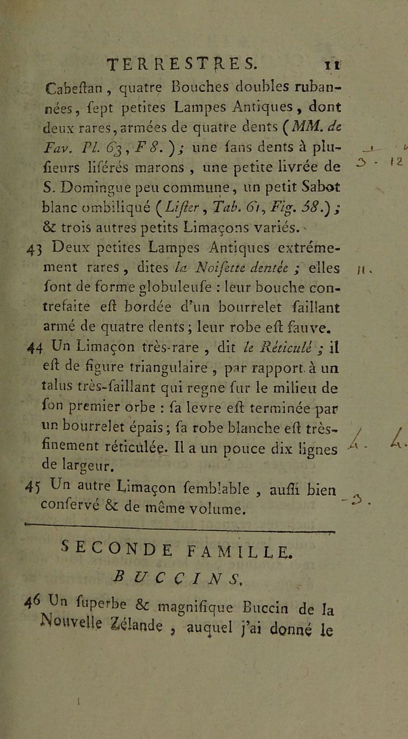 Cabefîan , quatre Bouches doubles ruban- nées, fept petites Lampes Antiques, dont deux rares,armées de quatre dents (MM. de Fav. PI. F 8. ); une fans dents à plu- ^ fleurs liférés marons , une petite livrée de ^ lz S. Domingue peu commune, un petit Sabot blanc ombiliqué (A//?2r, Tab. 6i, Fig. 58.) ; & trois autres petits Limaçons variés. 43 Deux petites Lampes Antiques erttréme- ment rares , dites la Noifette dentée ; elles n . font de forme globuleufe : leur bouche con- trefaite eft bordée d’un bourrelet Baillant armé de quatre dents ; leur robe efl fauve, 44 Un Limaçon très-rare , dit le Réticulé ; il eft de figure triangulaire , par rapport, à un talus très-faillant qui régné fur le milieu de fon premier orbe : fa levre eft terminée par un bourrelet épais ; fa robe blanche efi très- / / finement réticulée. Il a un pouce dix lignes M ' ^i * * * v‘ de largeur. 45 Un autre Limaçon femblable , aufïi bien confervé & de même volume. ' ' i — , ■ ■ y. SECONDE FAMILLE, BUCCINS. 46 Un fuperbe & magnifique Buccin de la Nouvelle Zélandç , auquel j’ai donné le 1