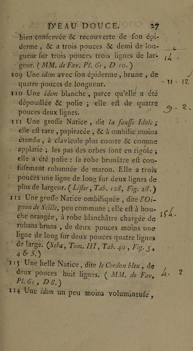 bien confervée & recouverte de fon épi- derme , & a trois pouces & demi de lon- gueur fur trois pouces trois lignes de lar- geur. ( MM. deFav. Pt. 61 , D /o. ) 109 Une idem avec fon épiderme , brune , de quatre pouces de longueur. 110 Une idem blanche, parce qu’elle a été dépouillée & polie ; elle eft de quatre pouces deux lignes. 111 Une groffe Natice , dit la faujfe Idole ; elle eft rare , papiracée , &: à ombilic moins étendu , à clavicule plus comte & comme applatie ; les pas des orbes font en rigole ; elle a été polie : la robe brunâtre eft con- tufement rubannée de maron. Elle a trois pouces une ligne de long fur deux lignes de plus de largeur. ( Lijler^ Tab. 128, Fig. 28.) 112 Une greffe Natice ombiliquée , dite VOi- gnon de S cille, peu commune ; elle eft à bou- che orangee, a robe blanchâtre chargée de rubans bruns , de deux pouces moins une ligne de long fur deux pouces quatre lignes de large. (’Seba, lom. III, Tab. go , Fig. g , 4 & 5.) 1 ' 3 U°e belle Natice , dite le Cordon bleu , de deux pouces huit lignes. ( MM. de Fav. Pl.6,,D8.) 114 Une idem un peu moins volumineufe, \L - J - it • iz. 3 \ti- A. ?