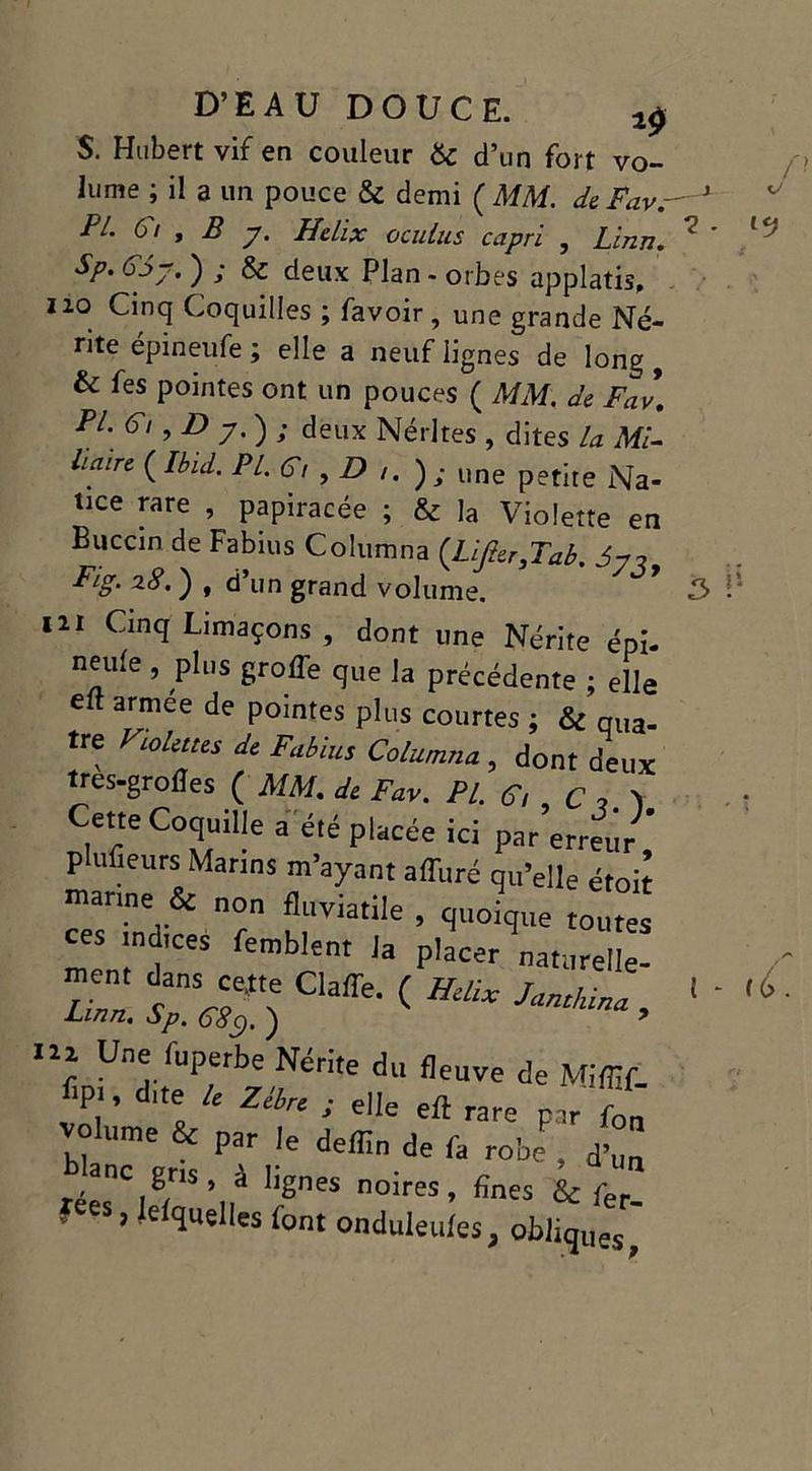 S. Hubert vif en couleur 6c d’un fort vo- lume ; il a un pouce & demi ( MM. de Fav. PL 6/ , B y. Hélix oculus capri , Linn. Sp. G6y. ) ; 6c deux Plan - orbes applatis, lio Cinq Coquilles ; favoir, une grande Né- rite épineufe ; elle a neuf lignes de long, & fes pointes ont un pouces ( MM. de Fav\ PL Gi,D y.); deux Né rites , dites la Mi- haire ( Ibid. Pl.G,,D,.); une petite Na- lice rare , papiracée ; & la Violette en Buccin de Fabius Columna (Lifier.Tab. jy? Fig. z8. ) , d’un grand volume. m Cinq Limaçons , dont une Nérite épi- neufe , plus grofle que la précédente ; elle elt armee de pointes plus courtes ; & qua- tre Violettes de Fabius Columna , dont deux tres-grofles ( MM, de Fav. PL G, r , > Cette Coquille a été placée ici par erreur plufieurs Marins m’ayant affitré qu’elle étoil manne & non fluviatile . quoique toutes “ces remblent la placer naturel! ! î U”.fuPerbe Nérite du fleuve de Miffif. fip., d,te * Zèbrt ; elle elt rare par fo. blrirt T,' de*n ^ 6 robe ’ r- ,8, ’ à lges noires» fines & têt- ' ’ ldîuell« font onduleufes, obliques,
