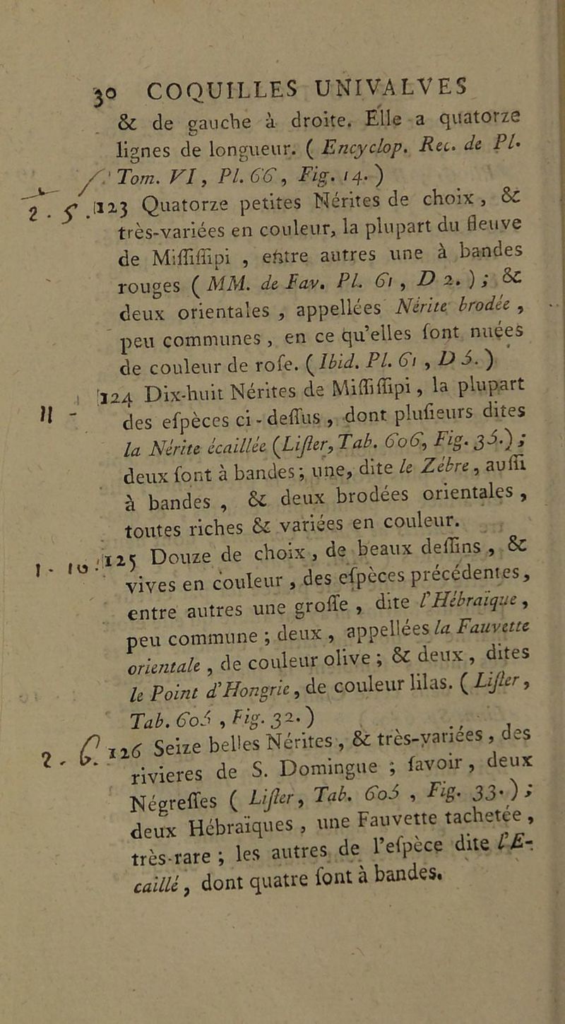 & de gauche à droite. Elle a quatorze lignes de longueur. ( Encyclop. Ru. de PI• 'A ' Tom. VI, P/. (BT, Fig. 14.) 1113 Quatorze petites Nérites de choix , Si très-variées en couleur, la plupart du Heuve de Miffifîipi , efttre autres une à bandes rouges ( MM. de Fav. PL 61 , D 2. ) ; oc deux orientales , appellées Nèrite brodee , peu communes , en ce quelles font nuées de couleur de rofe. {Ibid. PL Gi , H J. ) , r124 Dix-huit Nérites de Miffiffipi, la plupart des efpèces ci - deffus , dont plufieurs dues la Nèrite écaillée {Lijler,T ab. 6o6\ Fig. deux font à bandes ; u ne, dite le Zèbre, au lu à bandes , Si deux brodées orientales , toutes riches & variées en couleur. ,ïI2c Douze de choix , de beaux deiTins , Si  vives en couleur , des efpèces précédentes, entre autres une grolïe , dite l Hébraïque, peu commune ; deux , appellées/*Fauvette orientale, de couleur olive ; & deux:, dites h Point £ Hongrie, de couleur lilas. ( Lijler, Tab. GoS , Fig- 320 v , ° n(î Seize belles Nérites , & tres-yariees , des rivieres de S. Domingue ; lavoir, deux Néereffes ( Ufcr9 Tab. G06 , Fig. 33.); deux Hébraïques , une Fauvette tachetee , très-rare ; les autres de 1 efpecç dite IF- caillé, dont quatre font à bandes.