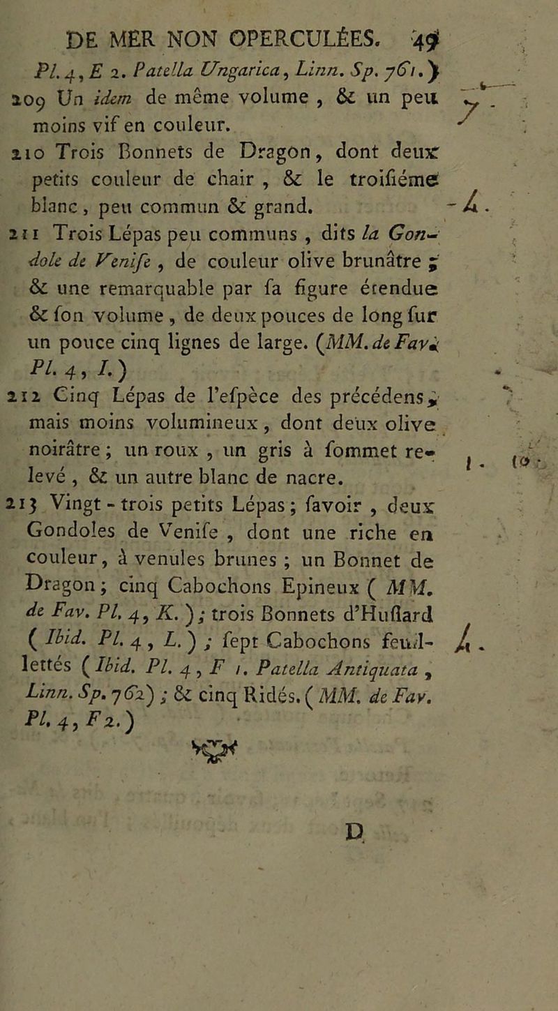7 -A DE MER NON OPERCULÉES. 4# PL g, E 2. Patella Ungarica, Linn. Sp. yC\.^y 109 Un idem de même volume , &; un peu moins vif en couleur. 110 Trois Bonnets de Dragon, dont deux petits couleur de chair , & le troifiéme blanc, peu commun & grand. 2i 1 Trois Lépas peu communs , dits lu Gon- dole de Fenife , de couleur olive brunâtre ; &£ une remarquable par fa figure étendue & fon volume , de deux pouces de long fur un pouce cinq lignes de large. (MM. de Fard PL 4,1.) 212 Cinq Lépas de l’efpèce des précédens, mais moins volumineux, dont deux olive noirâtre ; un roux , un gris à fommet re- levé , un autre blanc de nacre. 213 Vingt - trois petits Lépas; favoir , deux Gondoles de Venife , dont une riche en couleur, à venules brunes ; un Bonnet de Dragon ; cinq Cabochons Epineux ( MM, de Fav. PI. 4, K. ) ; trois Bonnets d’Huflard ( Ibid. PL 4 , L. ) ; fepr Cabochons feudl- /y . lettes (Ibid. PI. 4 , F 1. Patella Antiquata , Linn. Sp. 762) ; &z cinq Ridés. ( MM. de Fav. PL 4, F2.) l . (0 D