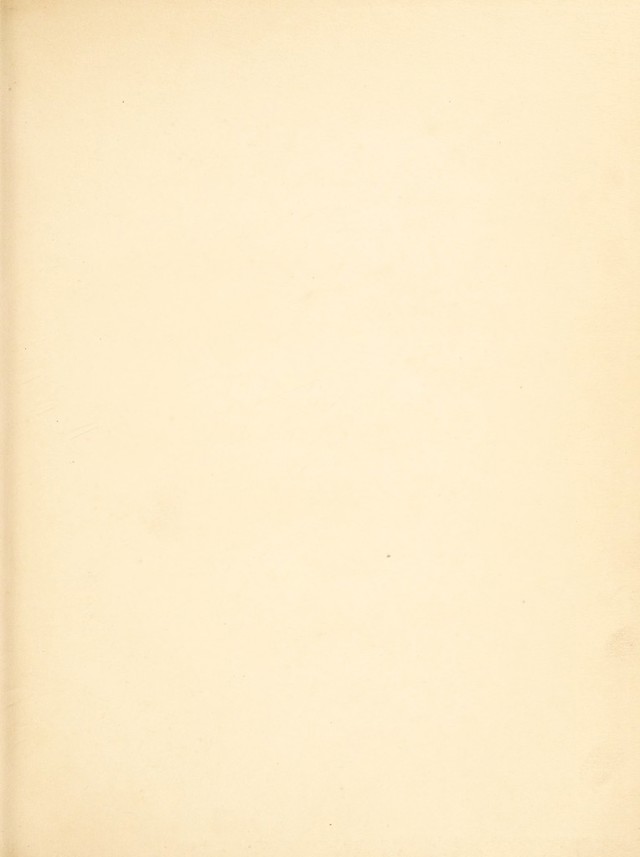 digitised image 3