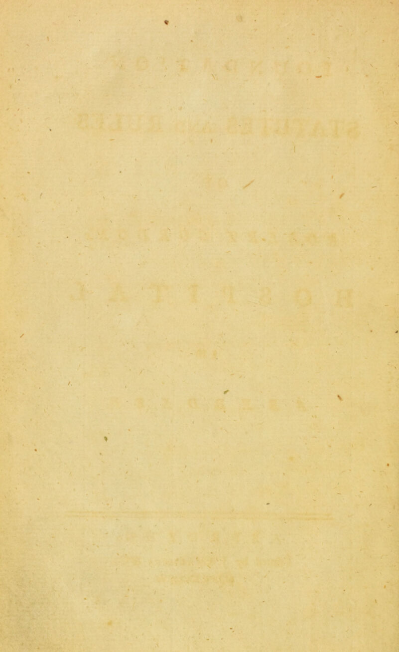 ♦ t' r / t >'• •» v . \ I N. . V /. ' .