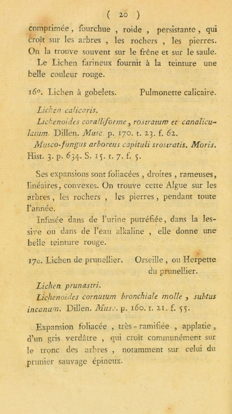 ( *0 ) comprimée , fourchue , roide , persistante , qui croît sur les arbres , les rochers , les pierres. On la trouve souvent sur le frêne et sur le saule. Le Lichen farineux fournit à la teinture une belle couleur rouge. 16°. Lichen à gobelets. Pulmonette calicaire. Lichen calicaris. Lichenoides cor ail forme ^ rostratum et canalicu- latum■ Dillen. Musc p. 170. t. 23. f. 62. Muscof ungus arboreus capituli srostratis. Moris. Hist. 3. p. 634. S. 15. t. 7. f. $. Ses expansions sont foliacées , droites , rameuses, linéaires, convexes. On trouve cette Algue sur les arbres, les rochers , les pierres, pendant toute l’année. Infusée dans de l’urine putréfiée, dans la les- sive ou dans de l’eau alkaline , elle donne une belle teinture rouge. 170. Lichen de prunellier. Orseille , ou Herpette du prunellier. Lichen prunastri. Lichenoides cornutum bronchiale molle y subtus incanum. Dillen. Musc. p. 160. t. 21. f. 55. Expansion foliacée , très - ramifiée , applatie , d’un gris verdâtre , qui croît communément sur le tronc des arbres , notamment sur celui du prunier sauvage épineux.