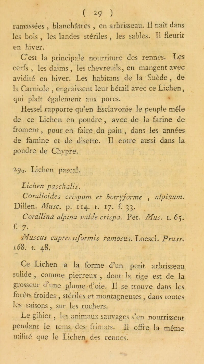 ( 19 ) ramassées , blanchâtres , en arbrisseau. Il naît dans les bois , les landes stériles , les sables. Il fleurit en hiver. C’est la principale nourriture des rennes. Les cerfs , les daims , les chevreuils, en mangent avec avidité en hiver. Les habitans de la Suède, de la Carniole , engraissent leur bétail avec ce Lichen, qui plaît également aux porcs. Kessel rapporte qu’en Esclavonie le peuple mêle de ce Lichen en poudre , avec de la farine de froment, pour en faire du pain , dans les années de famine et de disette. Il entre aussi dans la poudre de Chypre. 290. Lichen pascal. Lichen paschalis. Coralloides crispum et botryforme , nlpinurn. Dillen. Musc. p. 114. t. 17. f. 33. Corallina alpina valde crispa. Pet. Mus. t. 6j. f. 7. ■Muscus cupressiformis ramosus. Loesel. Pruss. 168. t. 48. Ce Lichen a la forme d’un petit arbrisseau solide , comme pierreux , dont la tige est de la grosseur d une plume d’oie. Il se trouve dans les forêts froides , stériles et montagneuses , dans toutes les saisons , sur les rochers. Le gibier , les animaux sauvages s’en nourrissent pendant le tems des frimats. Il offre la même utilité que le Lichen des rennes. * «