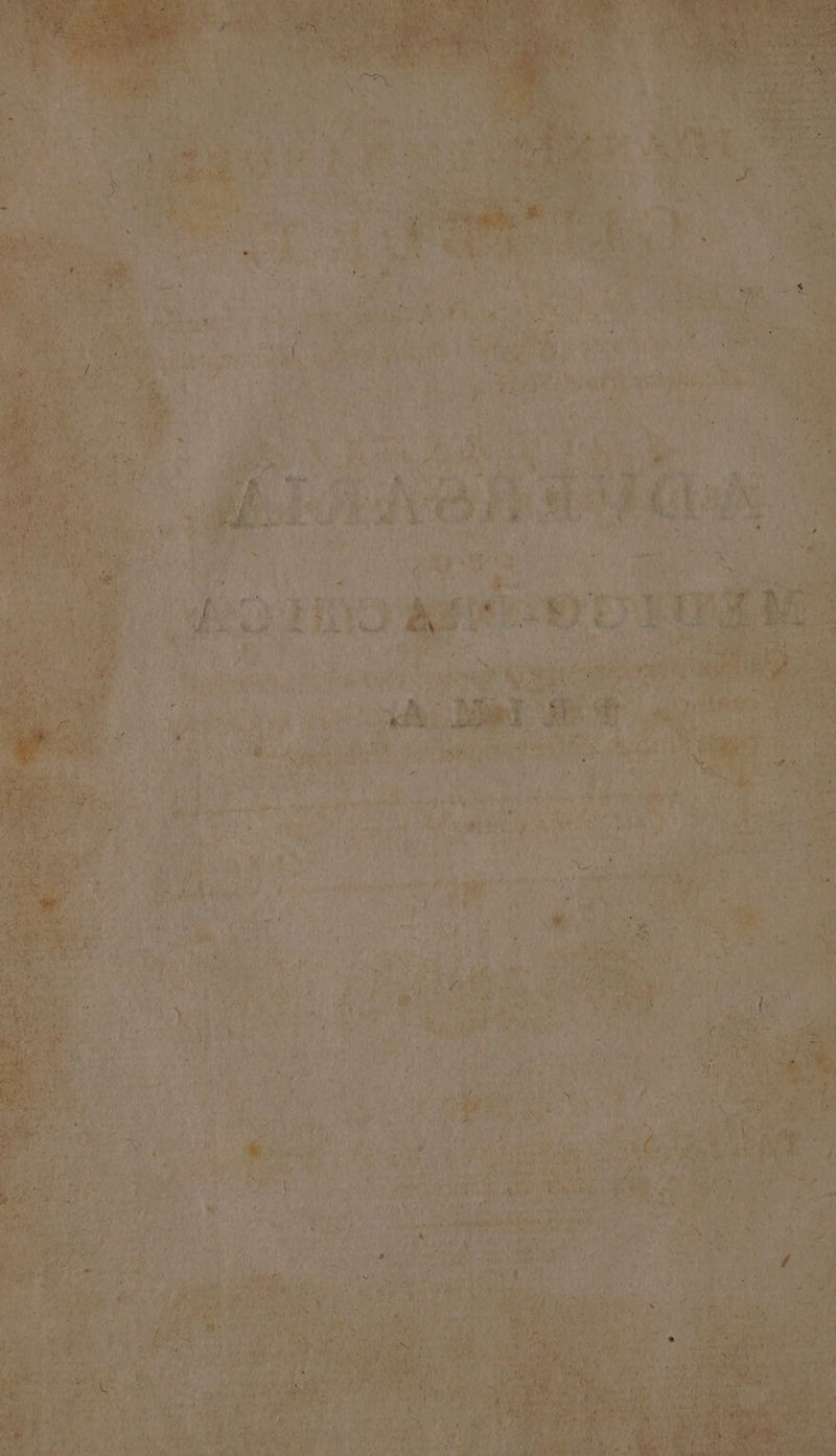 SaL us SLM ; y at - D Mei RU. n [i UT 4 ^ i Nd jp 44 dert, TV wan va ion?