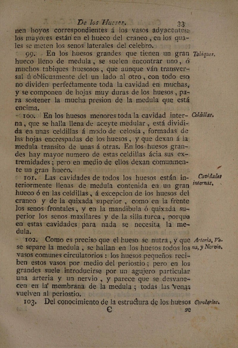 nen hoyos correspondientes á los vasos AS los mayores están en el hueco del craneo, en los qua- _ les se meten los senos laterales del celebro. | “99 - En los huesos grandes que tienen un gran Tabiques, hueco lleno de medula, se suelen encontrar uno, ó muchos. tabiques huesosos , que aunque ván transver- sal ú oblicuamente del un lado al otro, con todo eso no dividen perfectamente toda la cavidad en muchas, y se componen de hojas muy duras de los huesos , pa- ra sostener la mucha presion de la medula que está encima. -1o00. En los huesos menores toda la cavidad inter- Celdillas, na, que se halla llena de aceyte medular , está dividi- da en unas celdillas á modo de celosía , formadas de las hojas encrespadas de los huesos, y que dexan á la medula transito de unas á otras. En los: huesos gran- des hay mayor numero de estas celdillas ácia sus 'ex- tremidades , pero'en medio de ellos dexan comunmen- te un gran hueco. Gl ror. Las cavidades de todos los huesos están in- . Cvidades teriormente llenas de medula contenida en un gran dj t3c es MED hueco ó en las celdillas , á excepcion de los huesos del eraneo y de la. quixada: superior , como en la frente los senos frontales, y en la mandibula Ó quixada su= perior los senos maxilares y de la silla turca , porque en estas: cavidades para nada se necesita la me- dula. 102: Como es preciso que el hueso se nutra, y que 4rteria, Va. se separe la medula , se hallan en los huesos todos los na, y Nervio, vasos comunes circulatorios : los huesos pequeños reci- ben estos vasos por medio del periostio; pero en los grandes suele introducirse por un agujero particular una artería y un nervio , y parece que se desvane= cen en la membrana de la medula ; todas las Venas vuelven al periostio, 103» Del conocimiento psu estruétura de loshuesos Corolarias, se