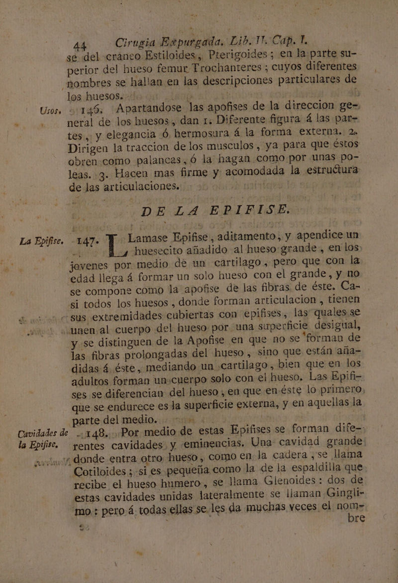 ld 4 La Epifise. 44 Cirugia Expurgada. Lib. 1?. Cap. l. se del craneo Estiloides, Pterigoides; en la parte su- perior del hueso femur Trochanteres ; cuyos diferentes nombres se hallan en las descripciones particulares de los huesos. IÓ . YE h 145, Apartandose las apofises de la direccion ge= neral de los huesos, dan 1: Diferente figura 4 las par- tes, y elegancia 6, hermosura á la forma externa. 2. Dirigen la traccion de los musculos, ya para que éstos obren:como palancas ¿6 la hagan como.por unas po- leas. 3. Hacen mas firme y acomodada la estruétura de las articulaciones. Ra bigeaío : DEA EPIFISE. -147. Lamase Epifise , aditamento,, y apendice un Aito huesecito añadido al hueso:grande, en los o $ 4 Ñ AR va Cavidades de la Epifise, edad llega á formar un solo hueso con el grande, y no se compone como la apofise de las fibras, de éste. Ca- si todos los huesos , donde forman articulacion , tienen sus extremidades cubiertas con epiñises, las quales se “unen al cuerpo del hueso por una superficie desigual, y «se distinguen de la Apofise en que no se forman de las fibras prolongadas del hueso , sino que están aña- didas 4. éste, mediando un .cartilago, bien que en los adultos forman un.cuerpo solo con el hueso, Las Epifi- ses se diferencian del hueso , en que en.éste lo primero, que se endurece es la superficie externa, y en aquellas la parte:del medio. aa o | -:148. Por medio de estas Epifises se forman dife-: rentes cavidades y eminencias. Una cavidad grande: Cotiloides ; si es pequeña como la de la espaldilla que recibe el hueso humero, se llama Glenoides : dos de estas cavidades unidas lateralmente se llaman Ginglí- e ' re