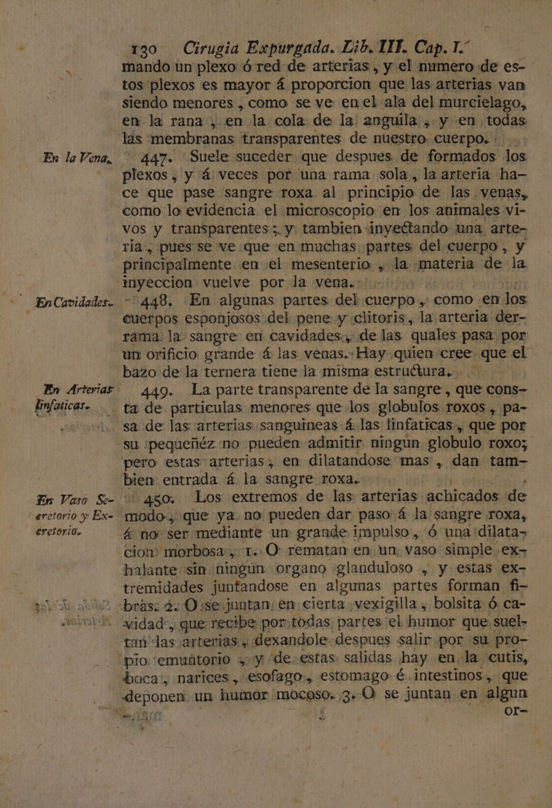 En la Vena, - EnCavidades. Eimfaticas. 130 Cirugia Expurgada. Lib. 11F. Cap. T.* mando un plexo: ó red de arterias, y el mumero de es- tos plexos es mayor á proporcion que las arterias van siendo menores , como se ve: enel ala del murcielago, en la rana, en la cola de la anguila , y en todas las membranas transparentes de nuestro cuerpo. : 447. Suele suceder que despues de formados los plexos , y 4: veces por una rama. sola, la arteria ha- ce que pase sangre roxa al principio de las venas, como lo evidencia el microscopio en los animales vi- vos y transparentes ;. y: tambien inyeétando una. arte- ria, pues se ve que en muchas. partes del cuerpo, y principalmente en el mesenterio: sida iii de la dea vuelve por la vena. e | 448. En algunas partes del cuerpo, como en los cuerpos esponjosos del pene y «clitoris, la arteria der- rama. la. sangre: en cavidades, de las quales pasa por un orificio grande á las. venas. Hay quien cree pene el bazo de la ternera tiene la misma estruétura.. 449. La parte transparente de la sangre, que cons- Er Vaso Se= '  gretorio y Ex- erectori0. bien entrada á la sangre roxa. | 450, Los extremos de las arterias. acbicados de halante sin ningún organo glanduloso , y estas ex- vidad, que recibe por, todas, partes el humor que. ,suel» tan: as arterias , dexandole. despues salir por su pro- boca, narices, esofago:, estomago é. intestinos, que deponen un humor mocoso 3. O se juntan en. jaa Sin E es
